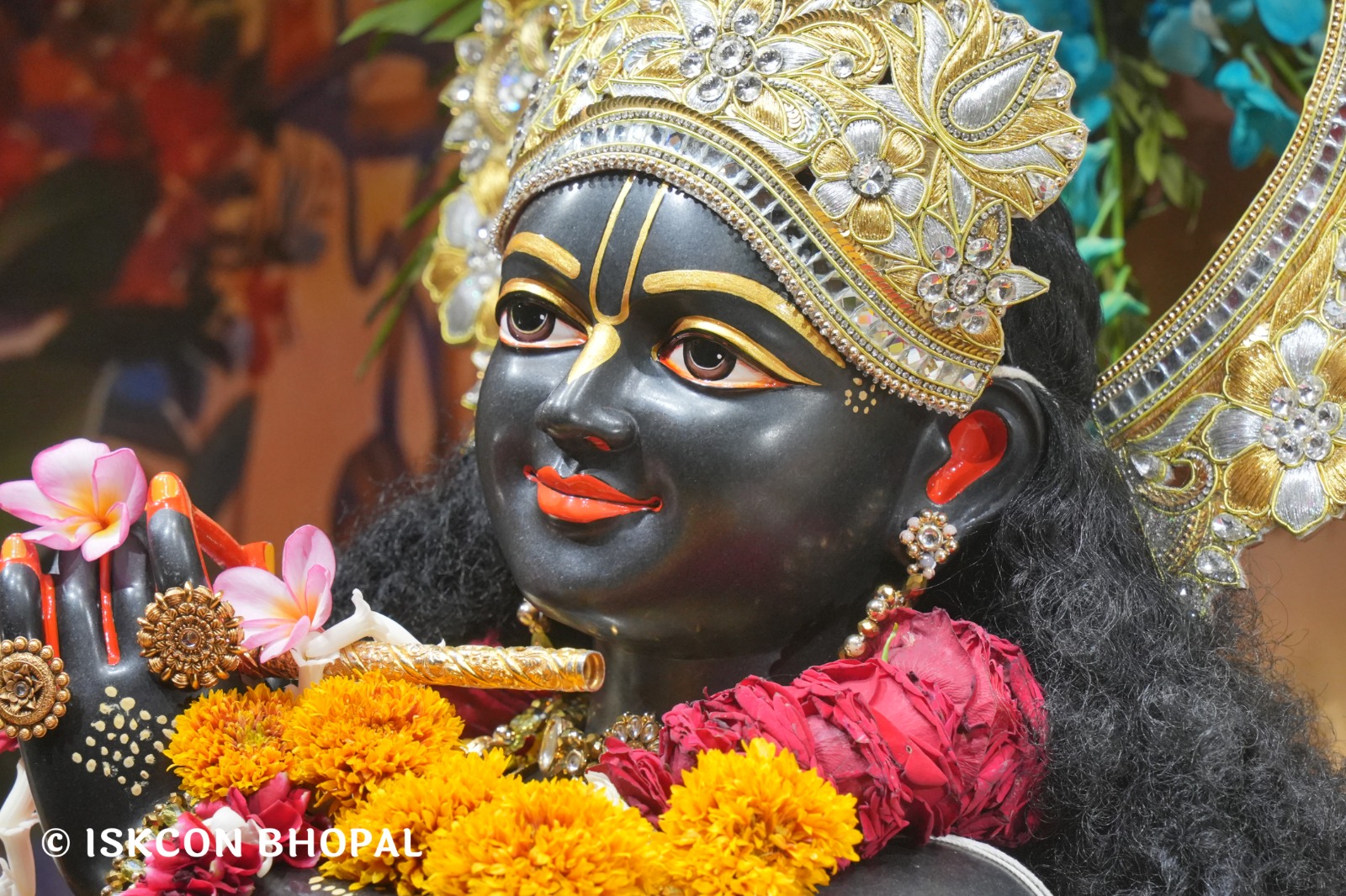 WhatsApp Image 2026-03-05 at 8.03.59 AM