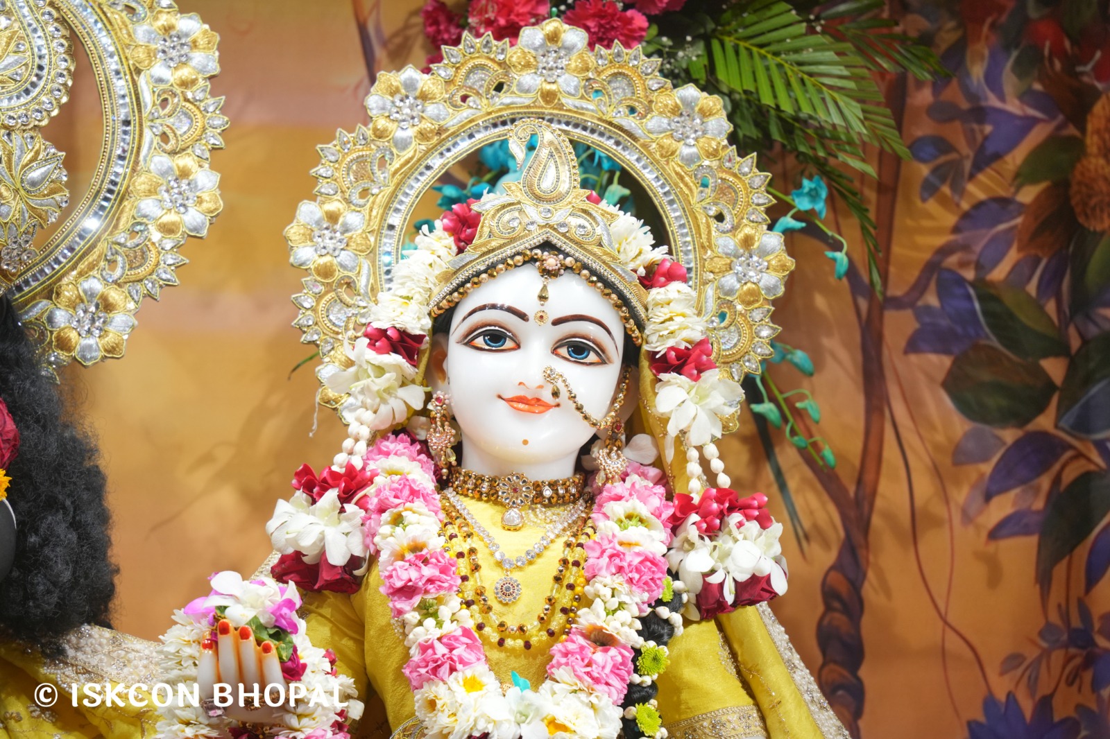 WhatsApp Image 2026-03-05 at 8.04.00 AM (1)