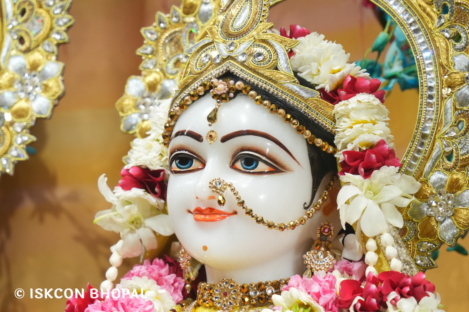 WhatsApp Image 2026-03-05 at 8.04.00 AM