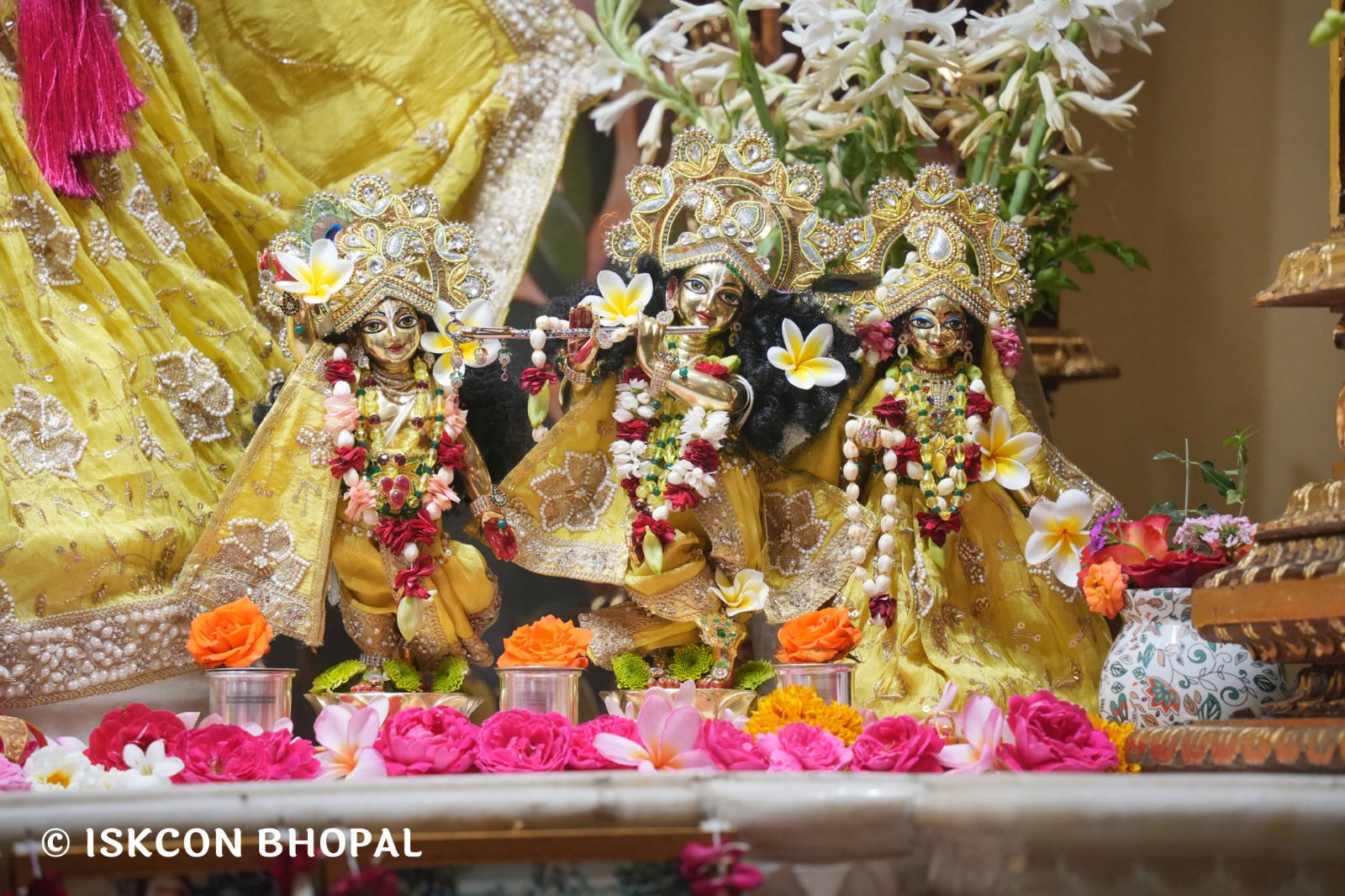 WhatsApp Image 2026-03-05 at 8.04.01 AM (1)