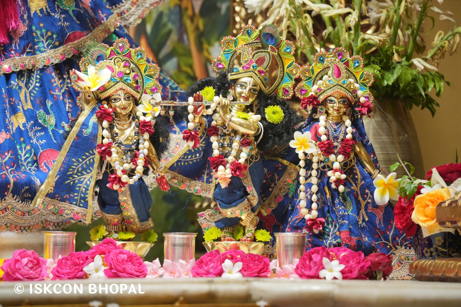 WhatsApp Image 2026-03-06 at 8.03.29 AM (2)