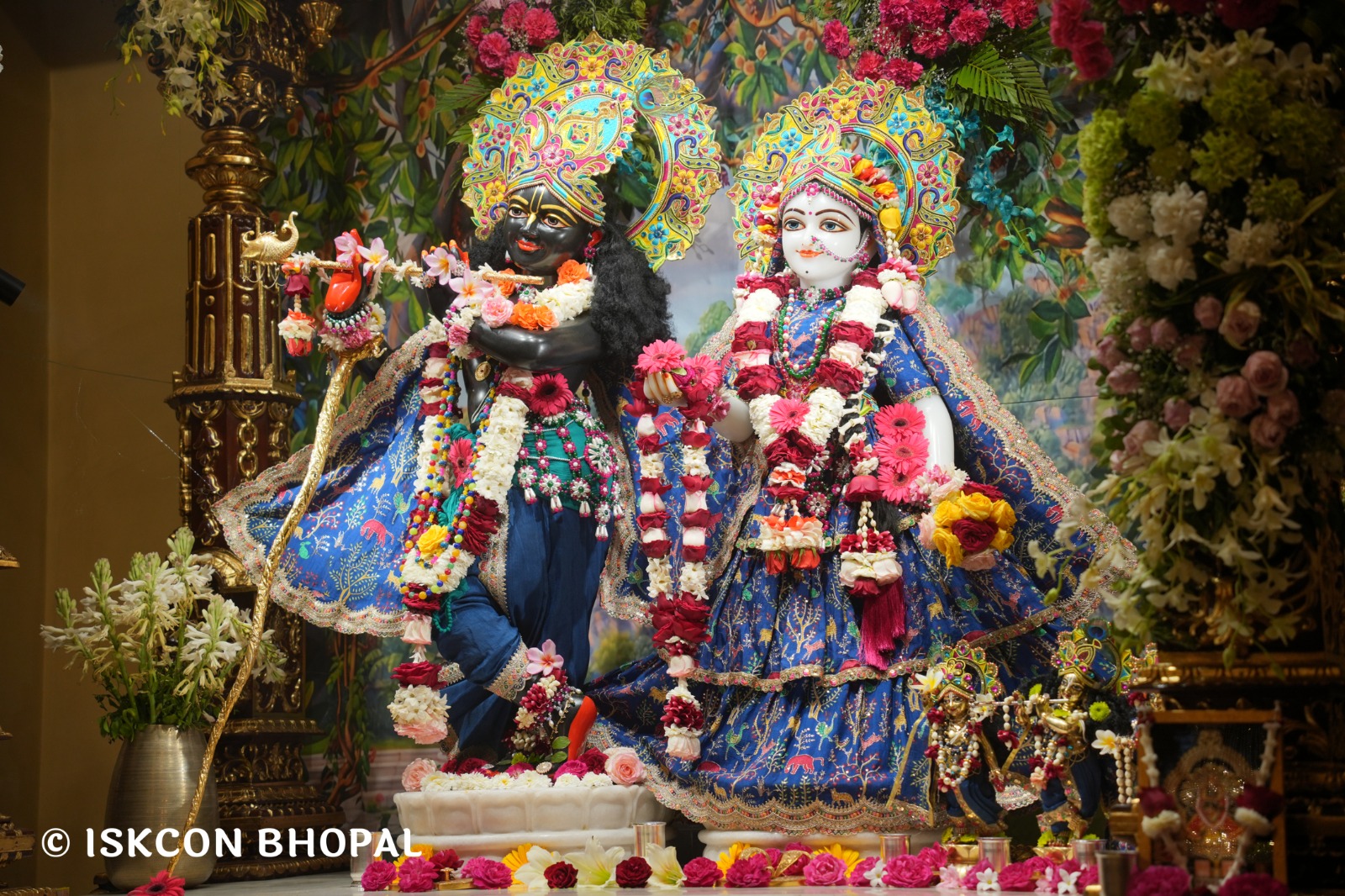 WhatsApp Image 2026-03-06 at 8.03.29 AM (4)