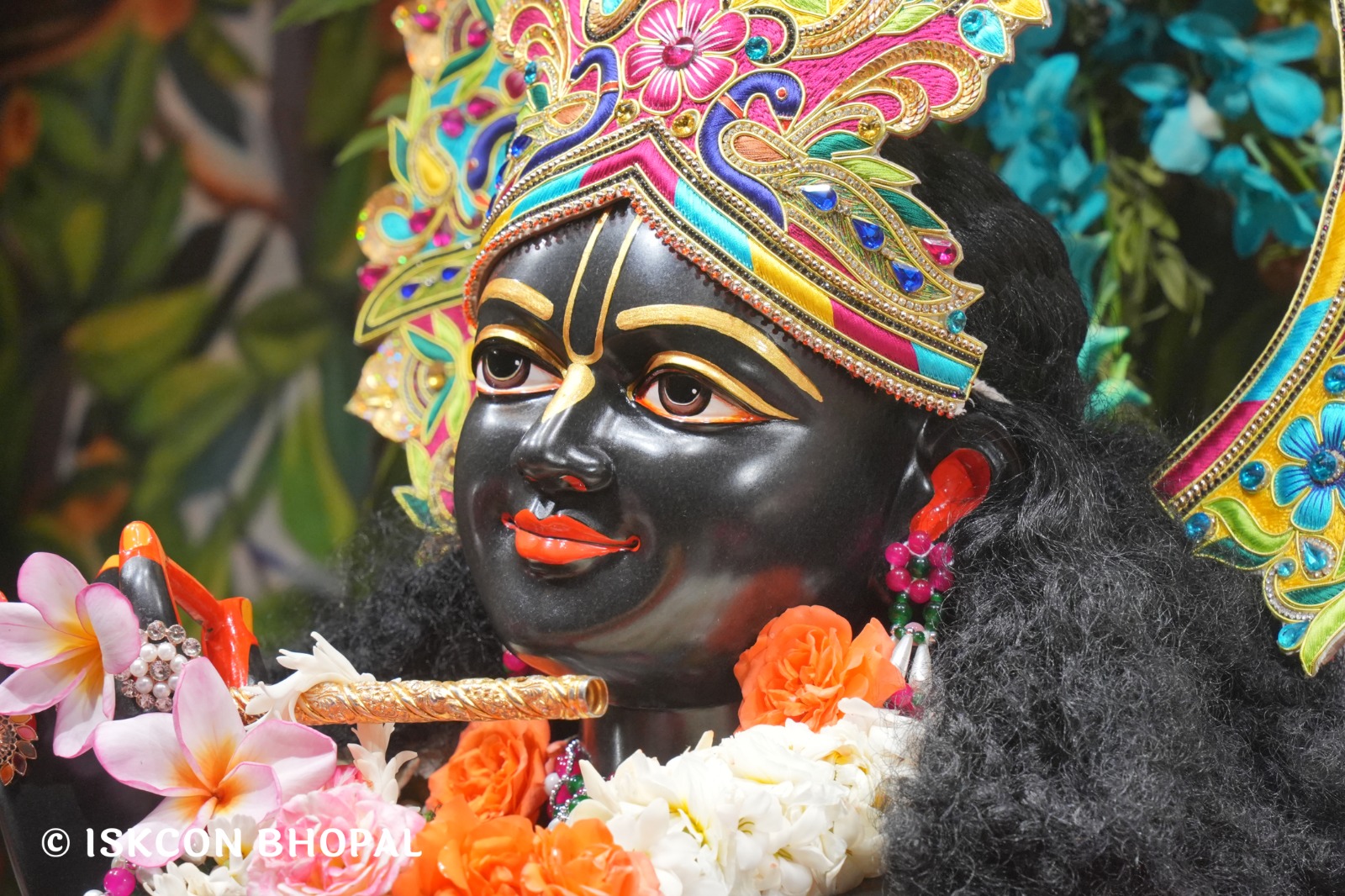 WhatsApp Image 2026-03-06 at 8.03.29 AM