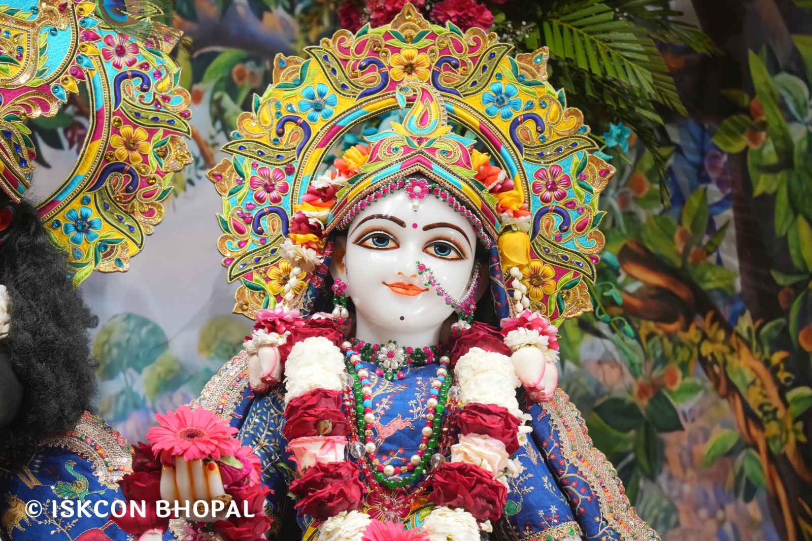 WhatsApp Image 2026-03-06 at 8.03.30 AM (1)