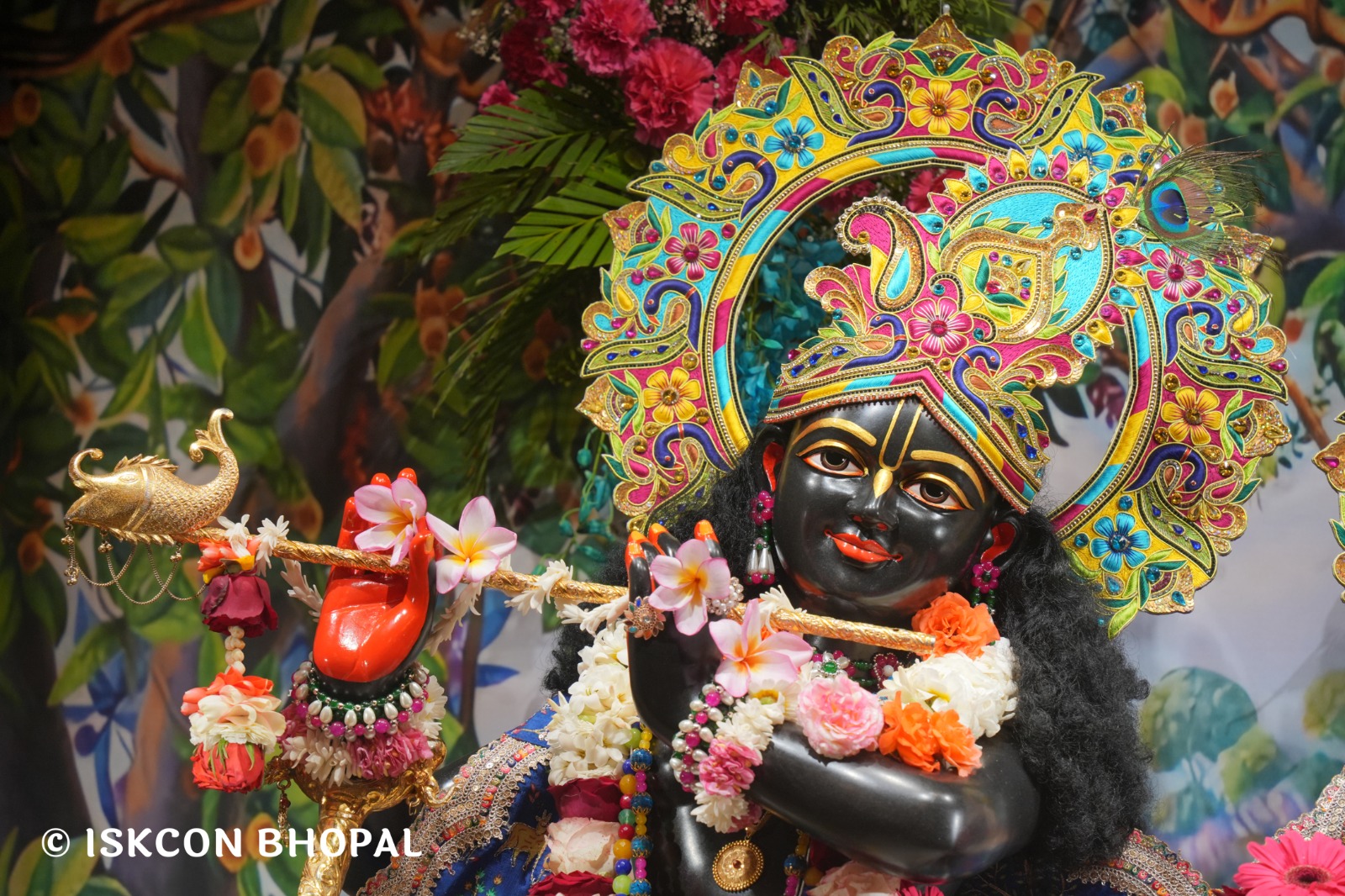 WhatsApp Image 2026-03-06 at 8.03.30 AM (2)