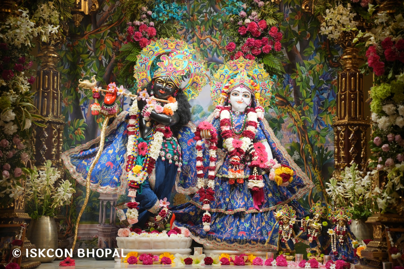 WhatsApp Image 2026-03-06 at 8.03.30 AM (3)