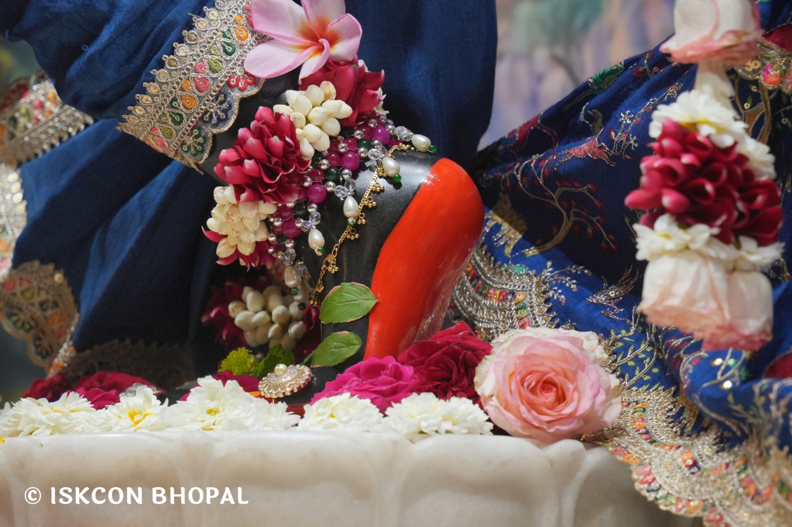 WhatsApp Image 2026-03-06 at 8.03.30 AM