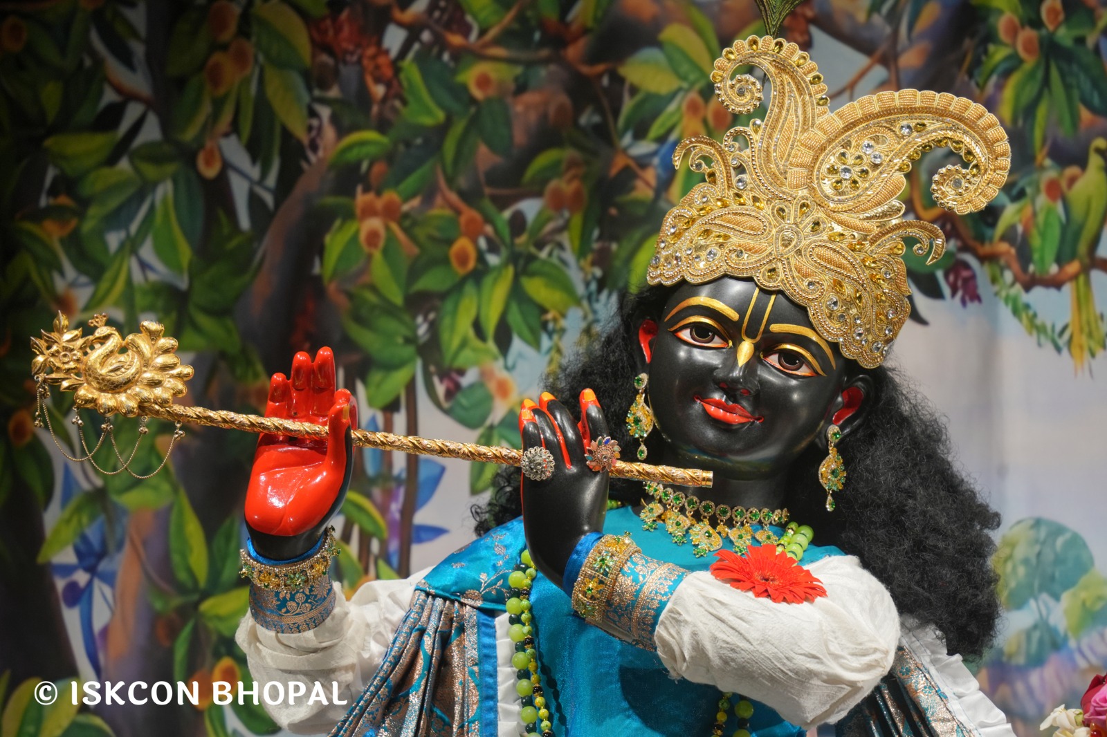 WhatsApp Image 2026-03-07 at 8.14.54 AM (1)