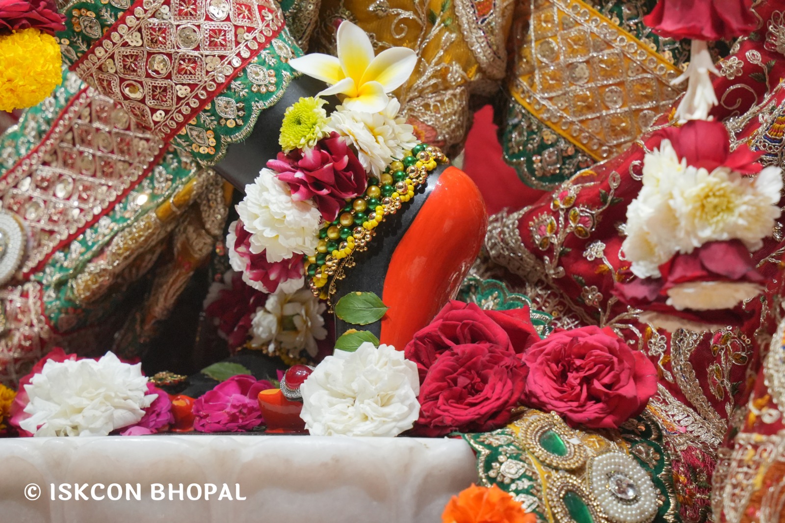 WhatsApp Image 2026-03-07 at 8.16.43 AM (2)