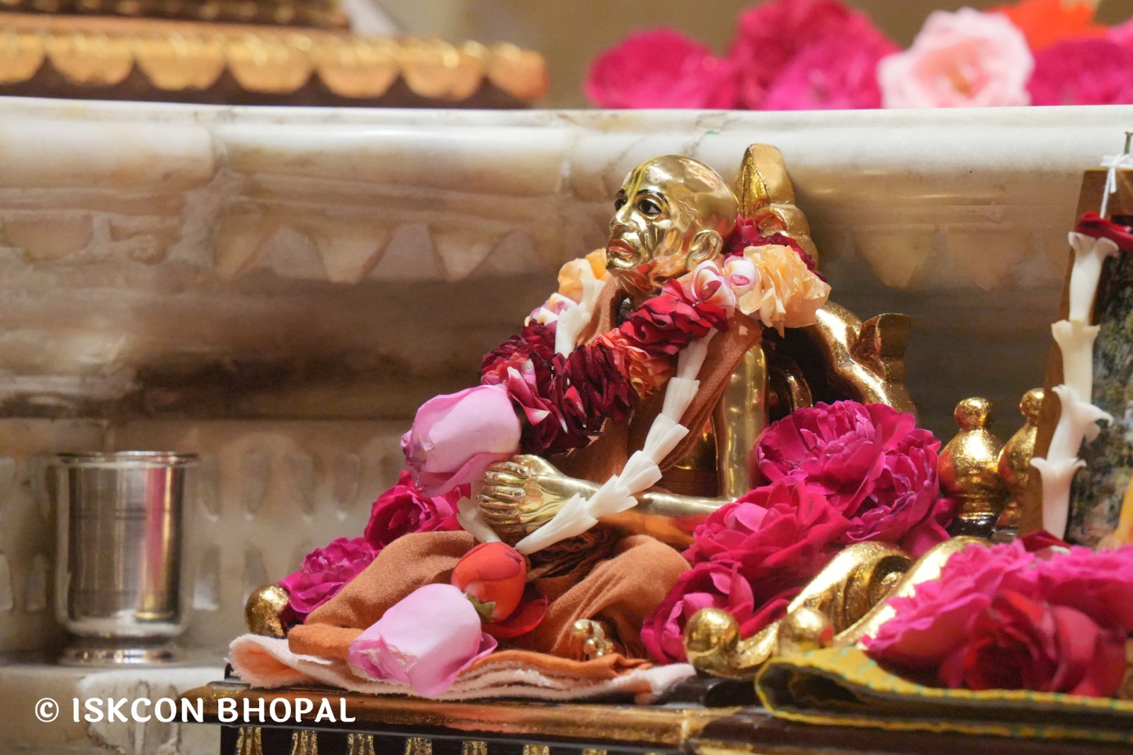 WhatsApp Image 2026-03-07 at 8.16.43 AM (3)