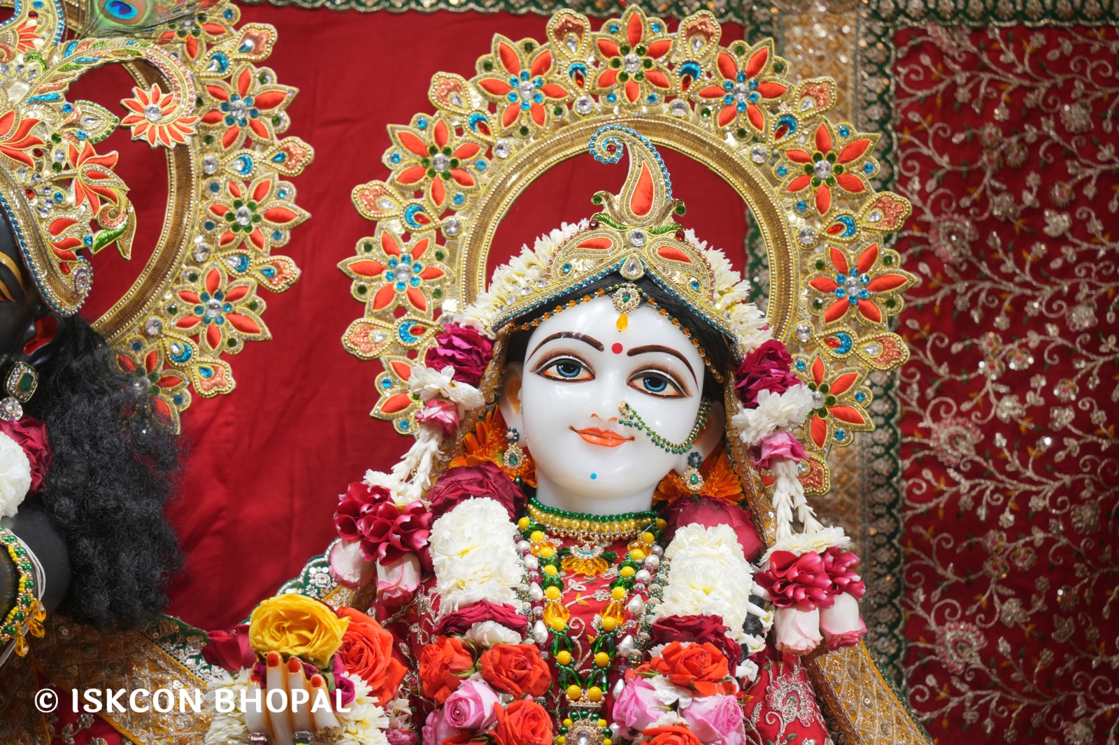 WhatsApp Image 2026-03-07 at 8.16.44 AM (1)