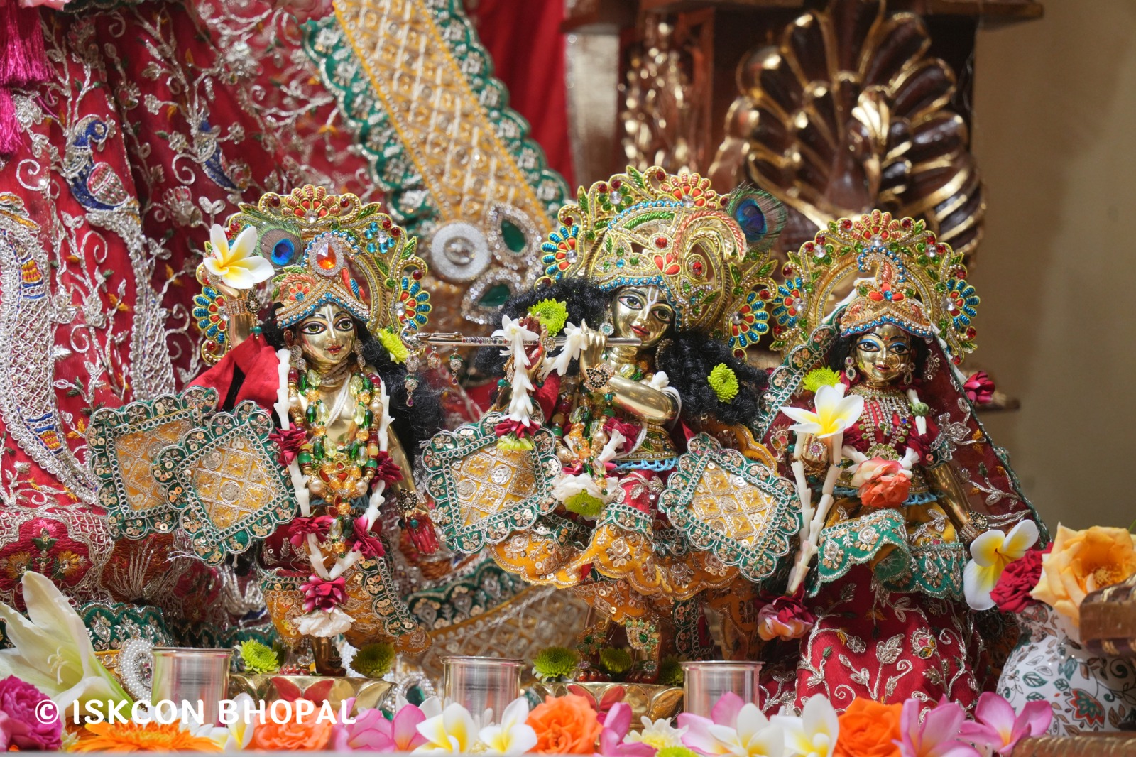 WhatsApp Image 2026-03-07 at 8.16.44 AM (3)