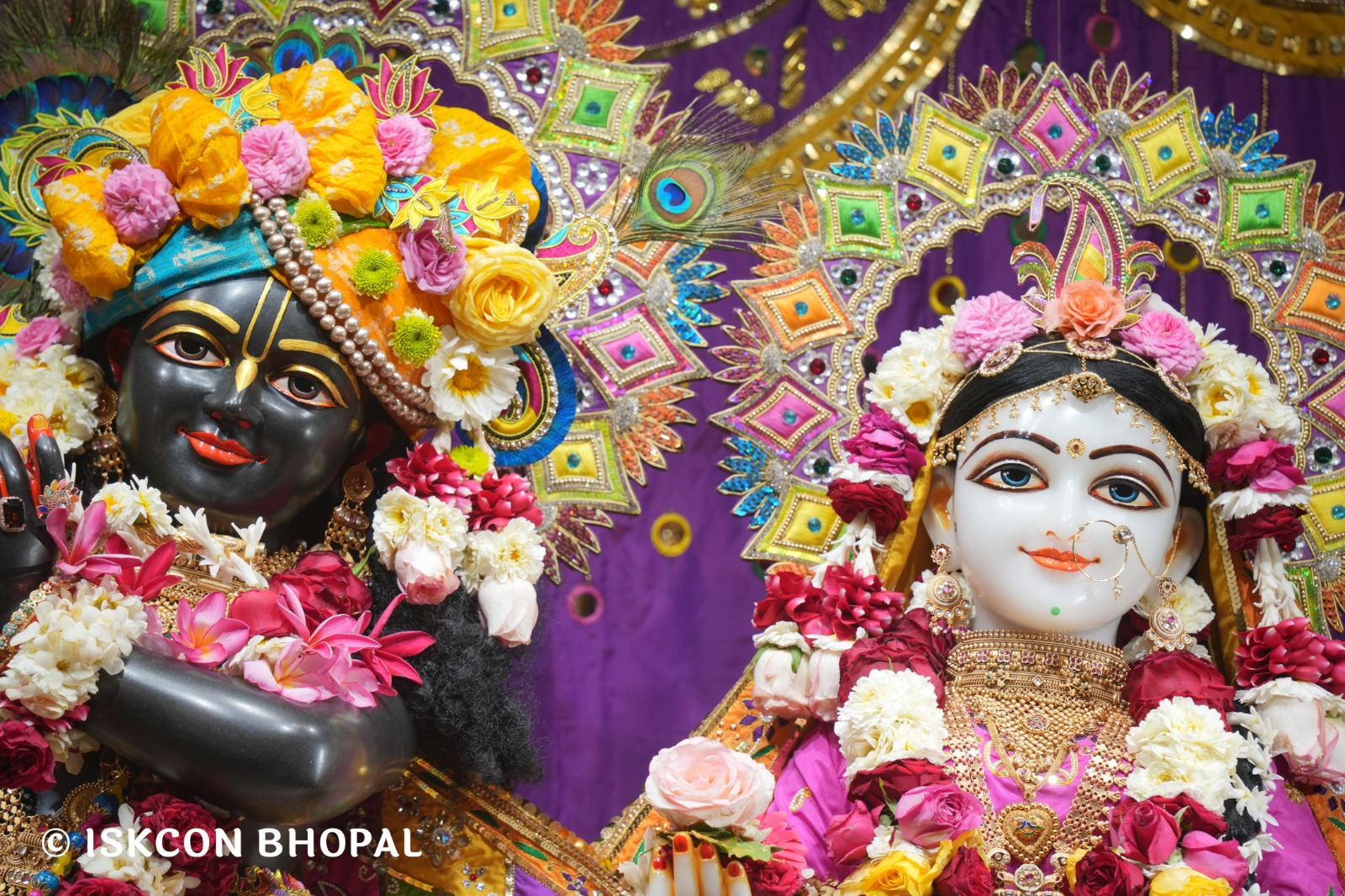 WhatsApp Image 2026-03-08 at 8.38.25 AM (2)