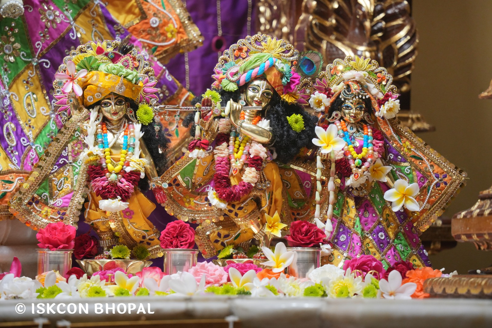 WhatsApp Image 2026-03-08 at 8.38.25 AM (4)