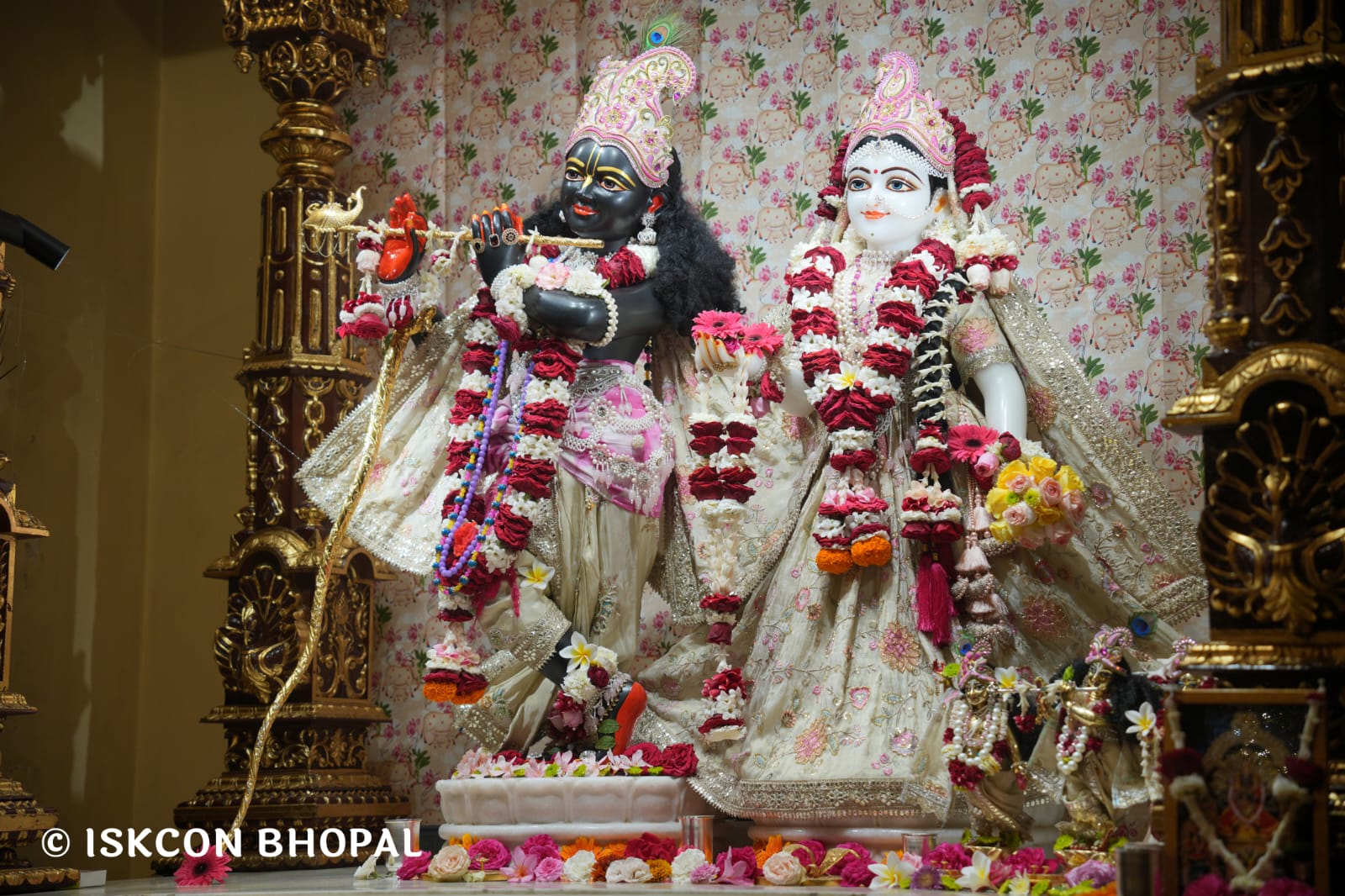 WhatsApp Image 2026-03-12 at 10.00.40 AM (1)