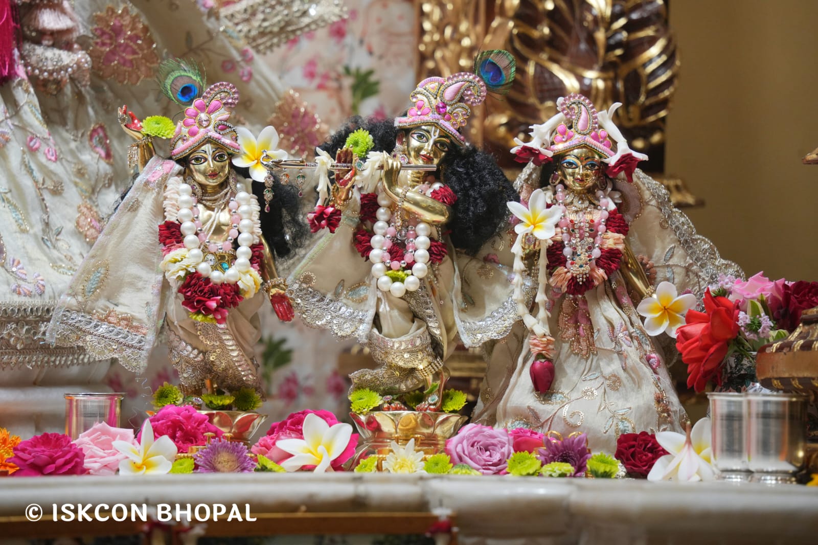 WhatsApp Image 2026-03-12 at 10.00.40 AM (2)