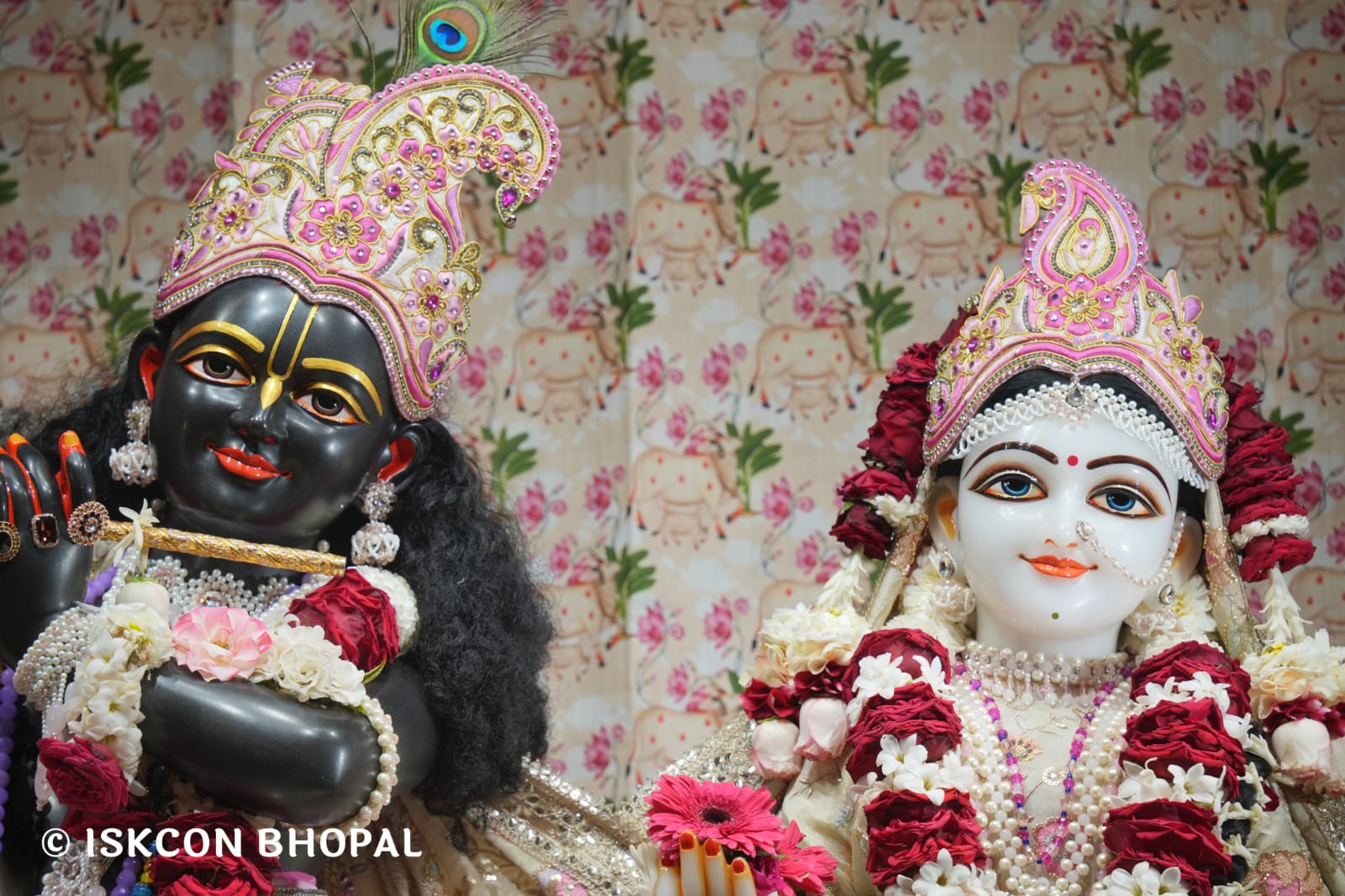 WhatsApp Image 2026-03-12 at 10.00.41 AM