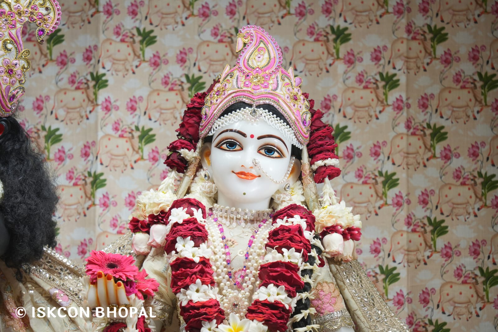 WhatsApp Image 2026-03-12 at 10.00.42 AM (1)