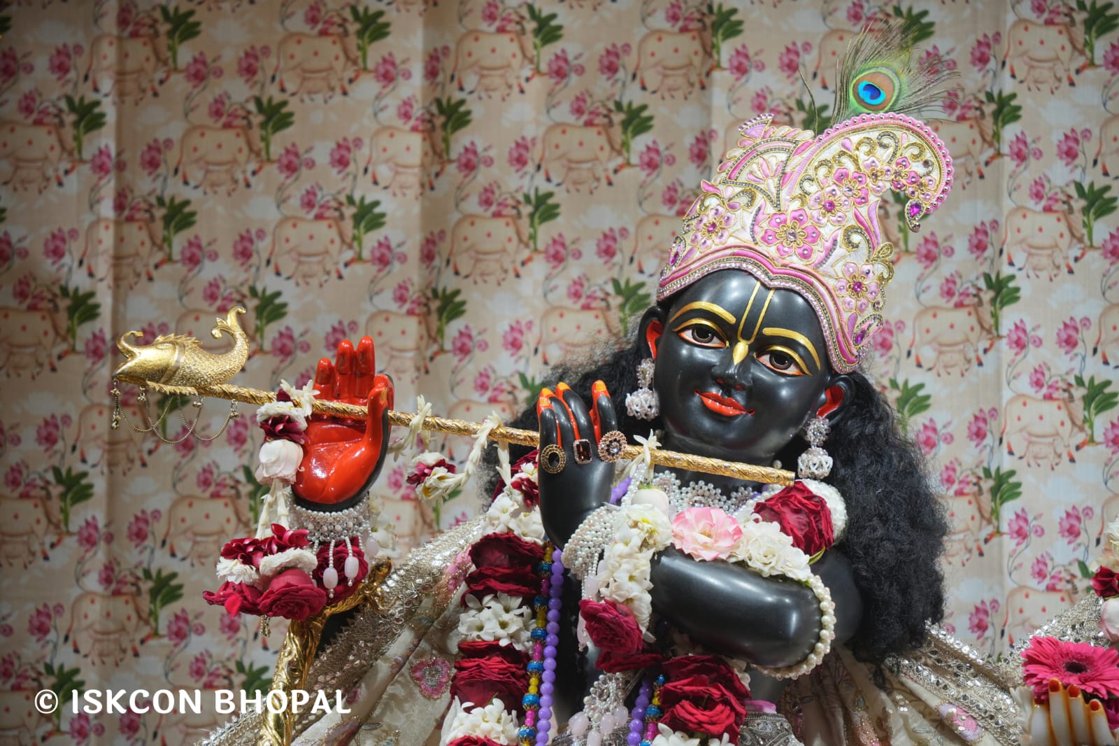 WhatsApp Image 2026-03-12 at 10.00.42 AM