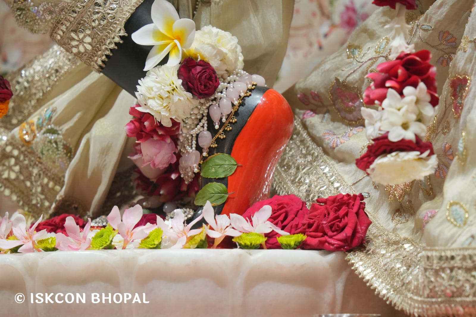 WhatsApp Image 2026-03-12 at 10.00.44 AM (1)