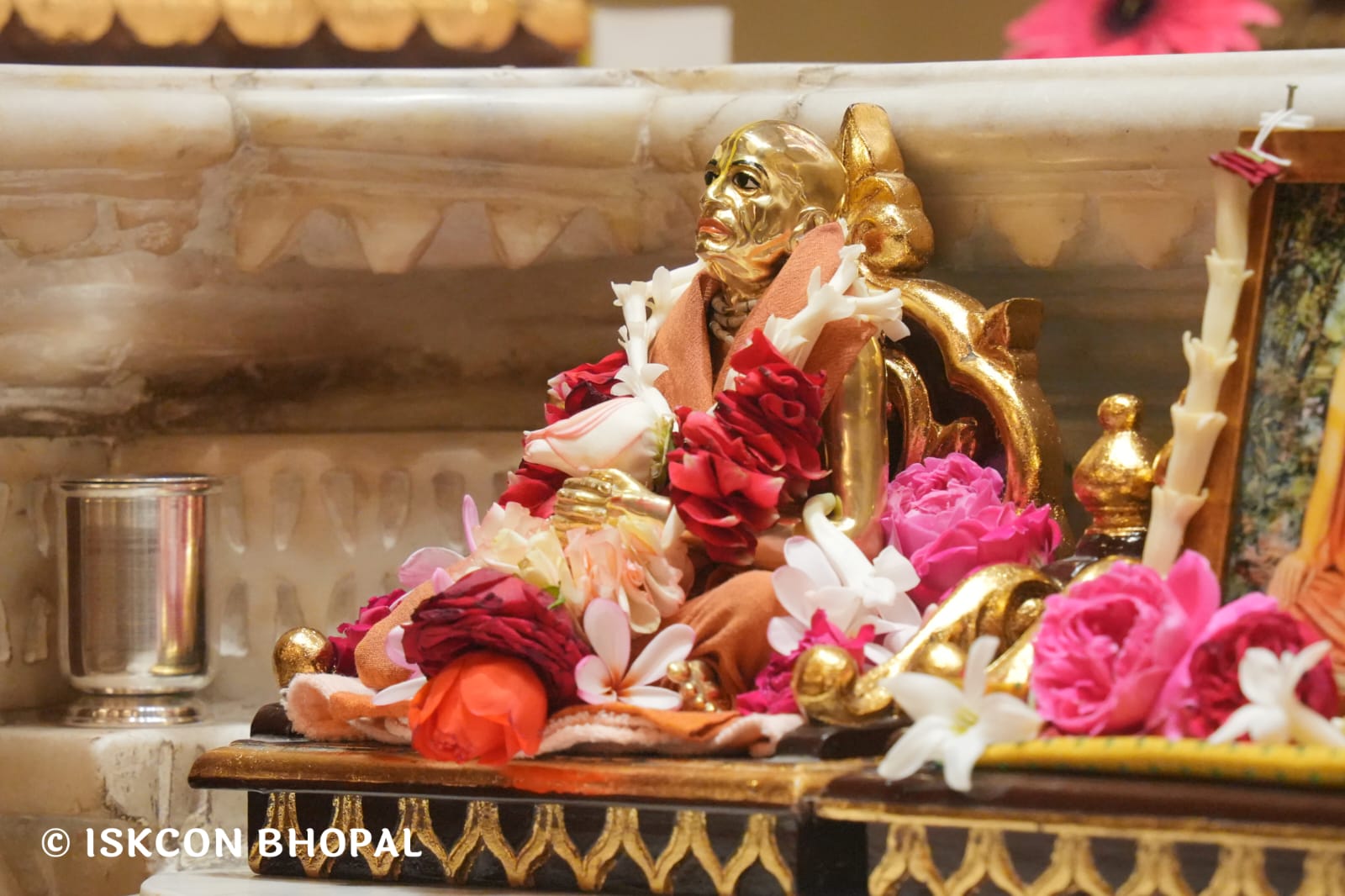 WhatsApp Image 2026-03-12 at 10.00.44 AM