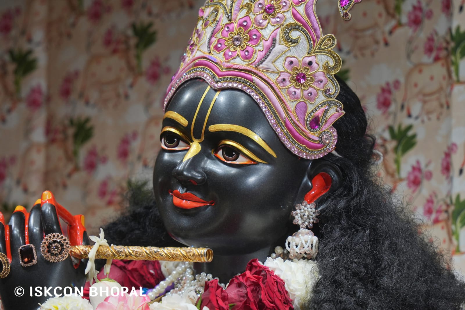 WhatsApp Image 2026-03-12 at 10.00.45 AM