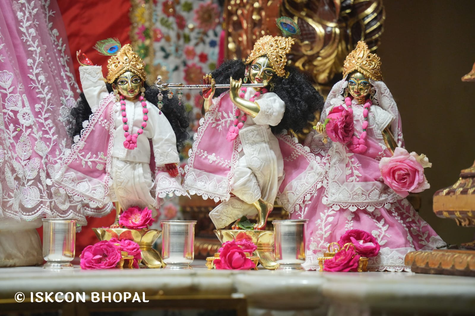 WhatsApp Image 2026-03-12 at 9.58.42 AM (1)