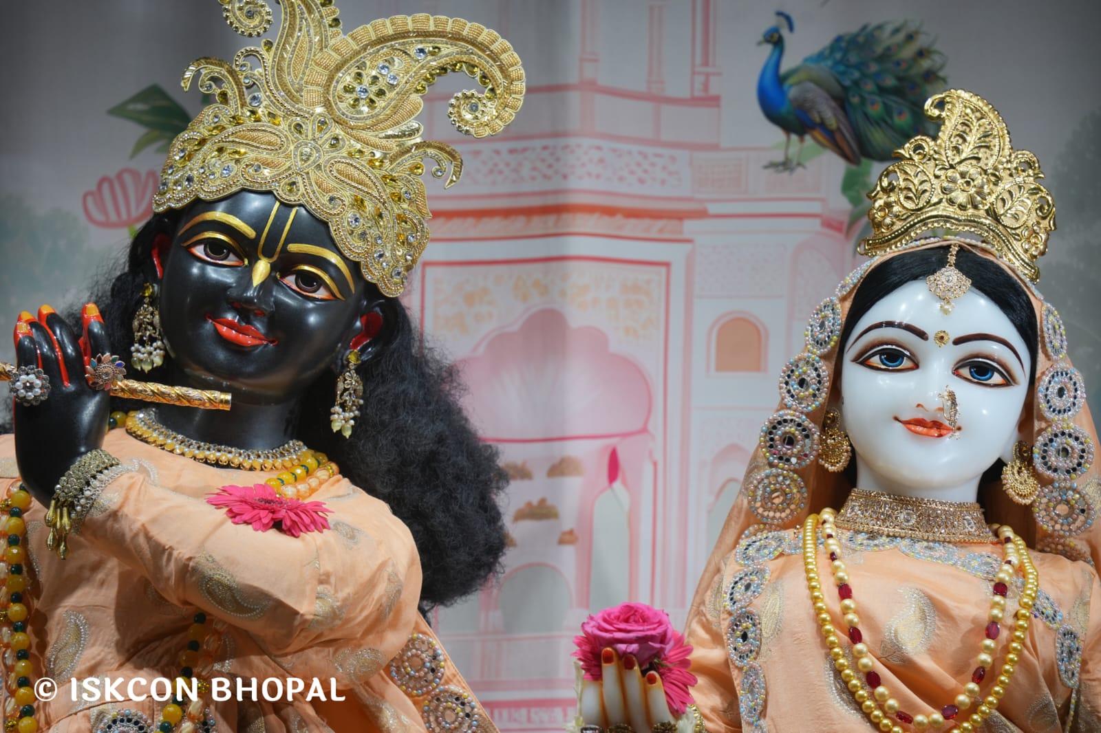 WhatsApp Image 2026-03-14 at 11.51.42 AM (1)