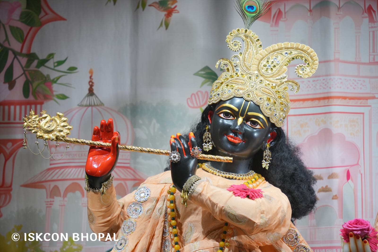 WhatsApp Image 2026-03-14 at 11.51.42 AM