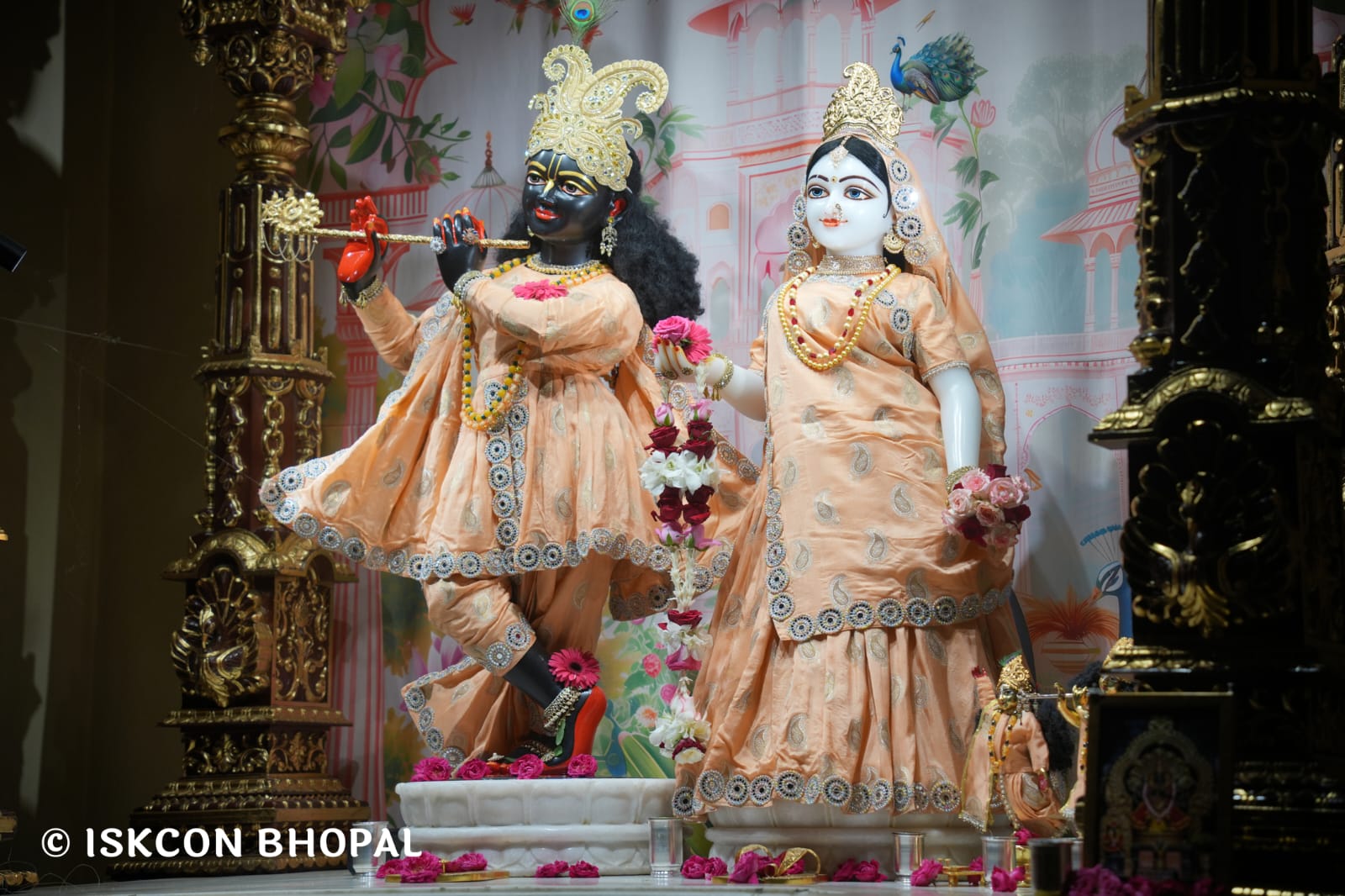 WhatsApp Image 2026-03-14 at 11.51.43 AM (1)