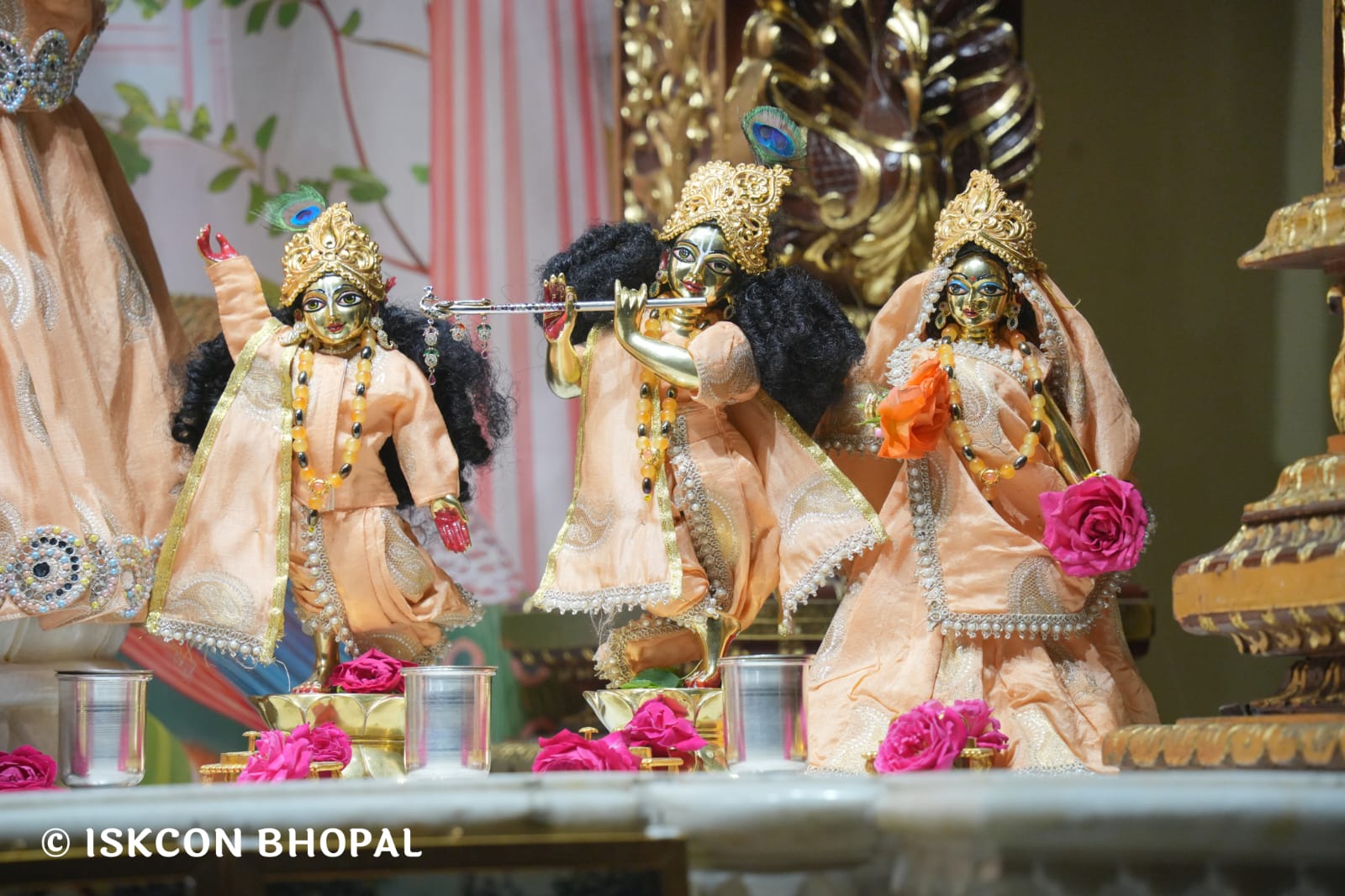 WhatsApp Image 2026-03-14 at 11.51.46 AM (1)