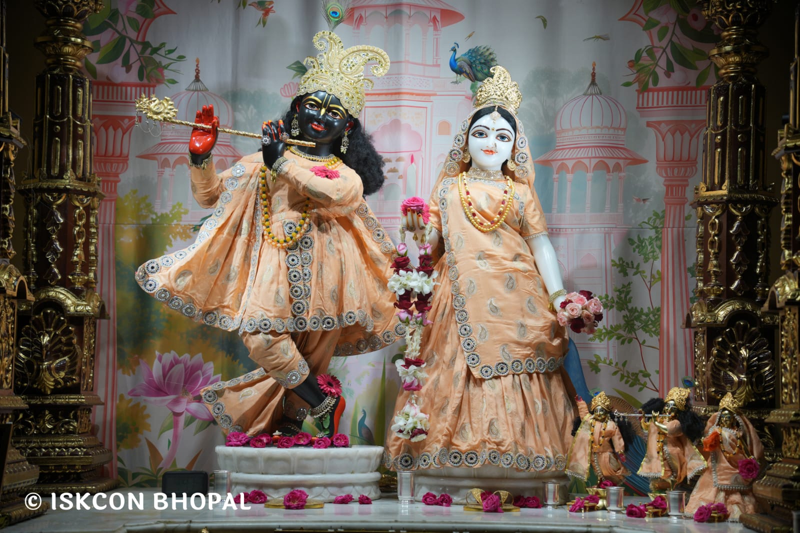 WhatsApp Image 2026-03-14 at 11.51.47 AM