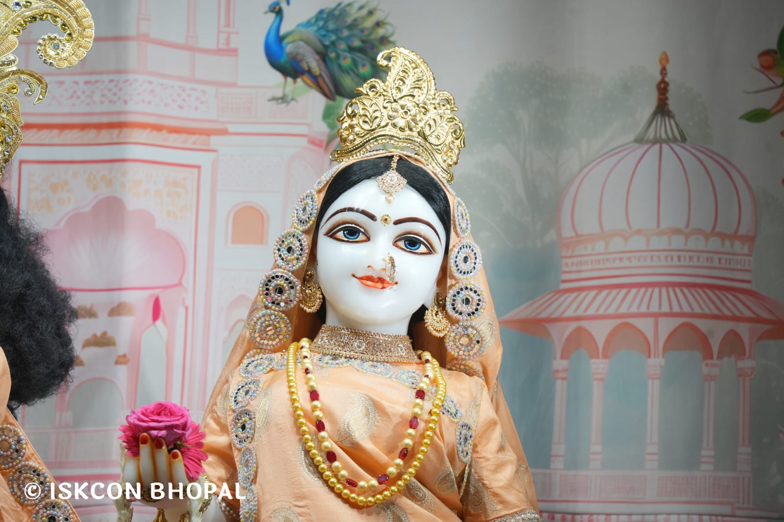 WhatsApp Image 2026-03-14 at 11.51.48 AM