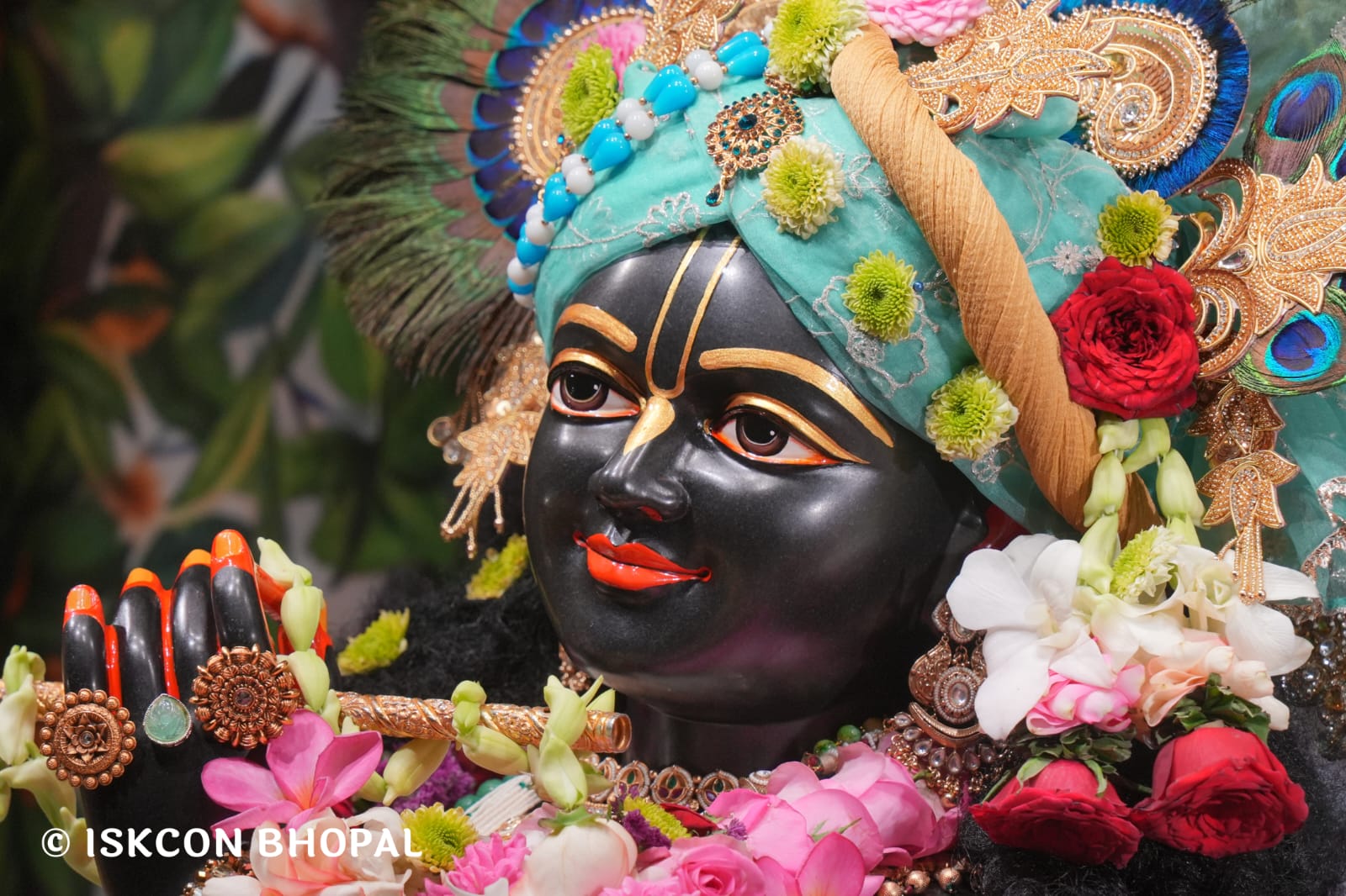 WhatsApp Image 2026-03-14 at 11.53.58 AM