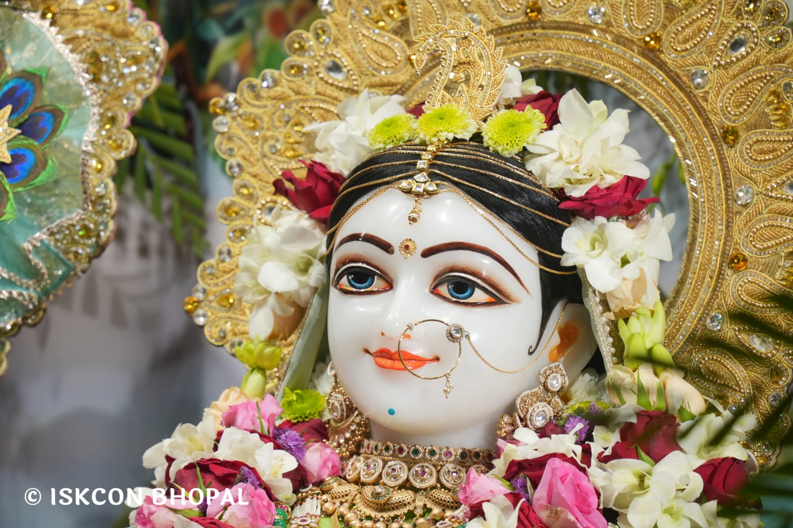 WhatsApp Image 2026-03-14 at 11.53.59 AM