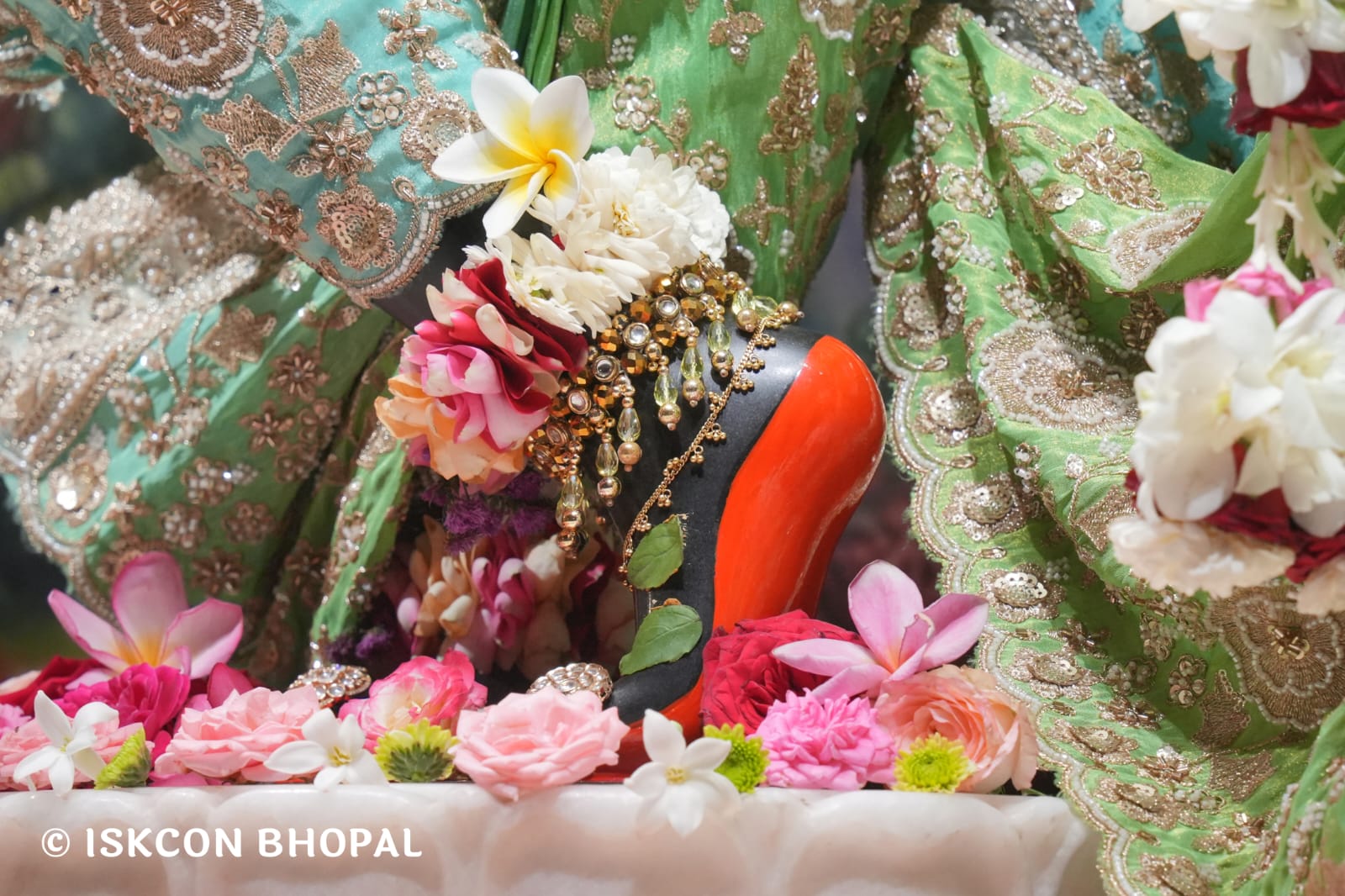 WhatsApp Image 2026-03-14 at 11.54.00 AM