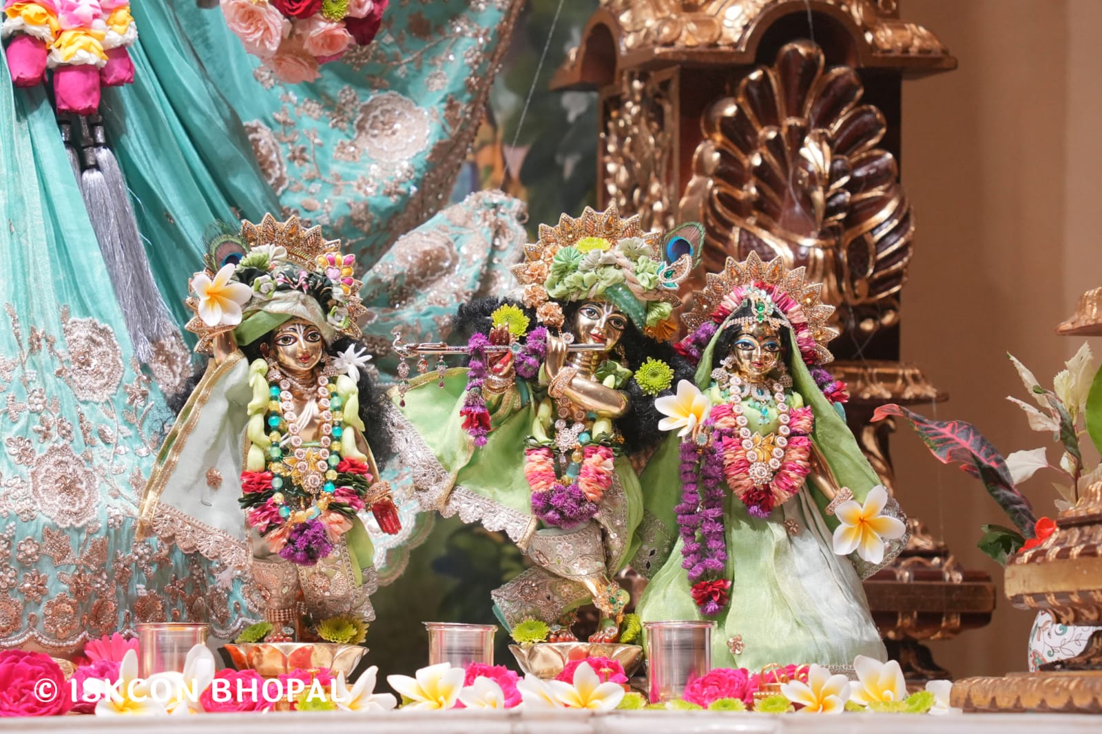 WhatsApp Image 2026-03-14 at 11.54.01 AM (1)