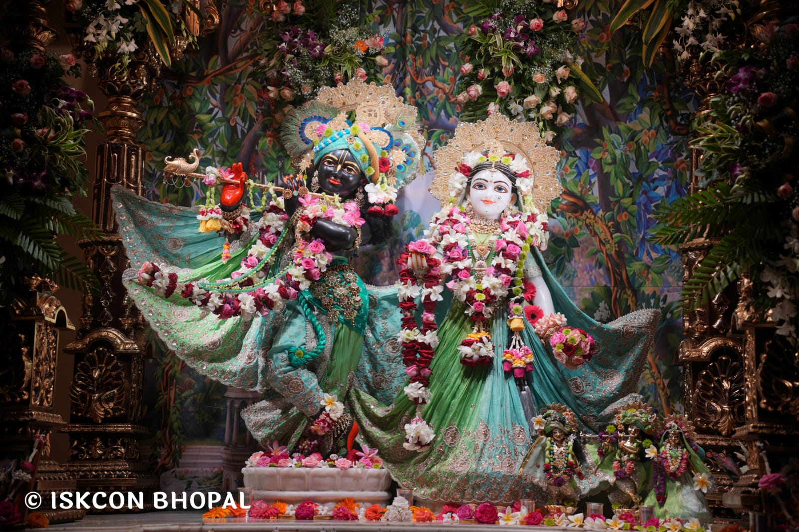 WhatsApp Image 2026-03-14 at 11.54.02 AM