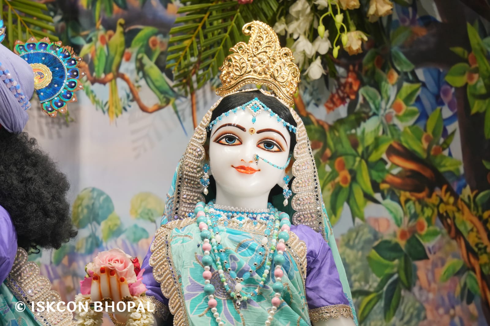 WhatsApp Image 2026-03-15 at 08.25.19