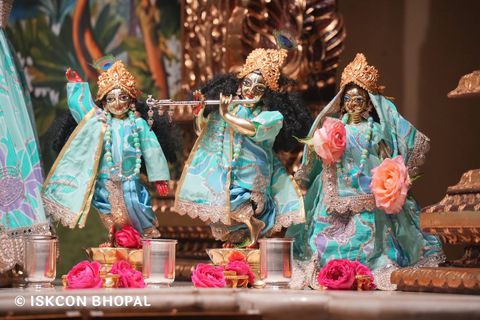 WhatsApp Image 2026-03-15 at 08.25.21 (1)