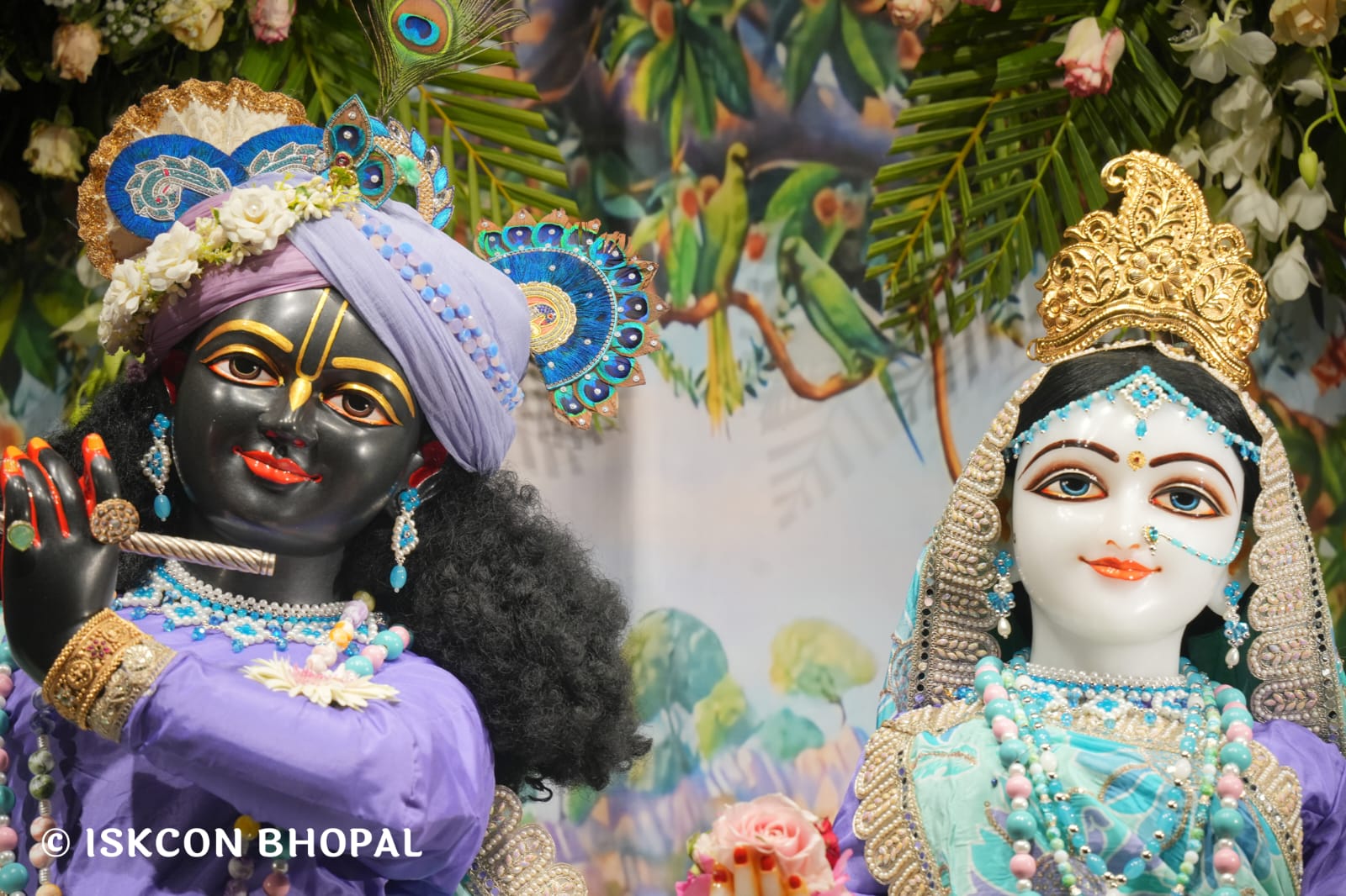 WhatsApp Image 2026-03-15 at 08.25.25