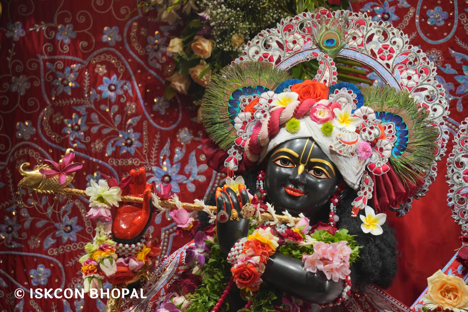 WhatsApp Image 2026-03-15 at 08.26.41