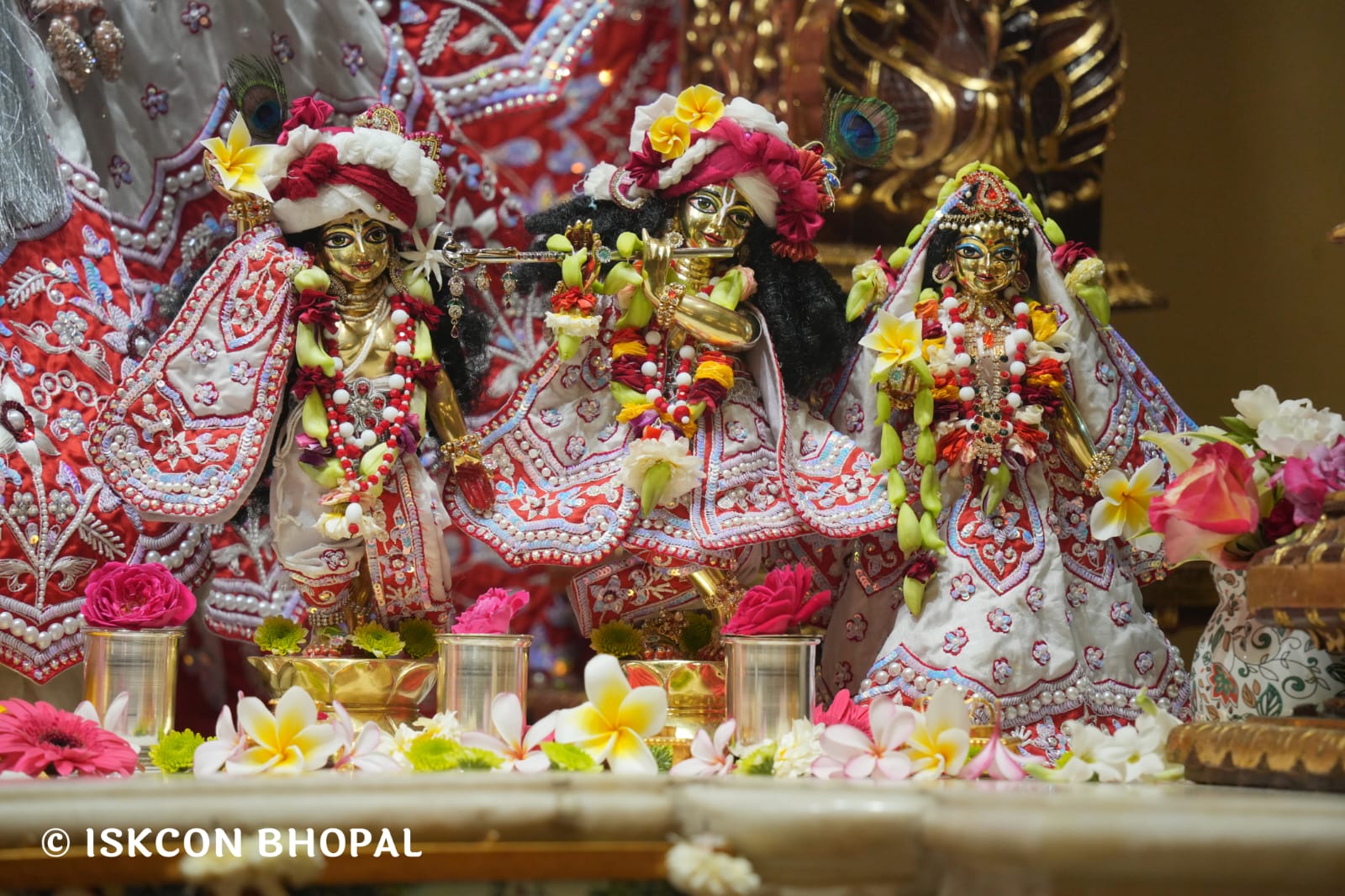 WhatsApp Image 2026-03-15 at 08.26.42 (1)