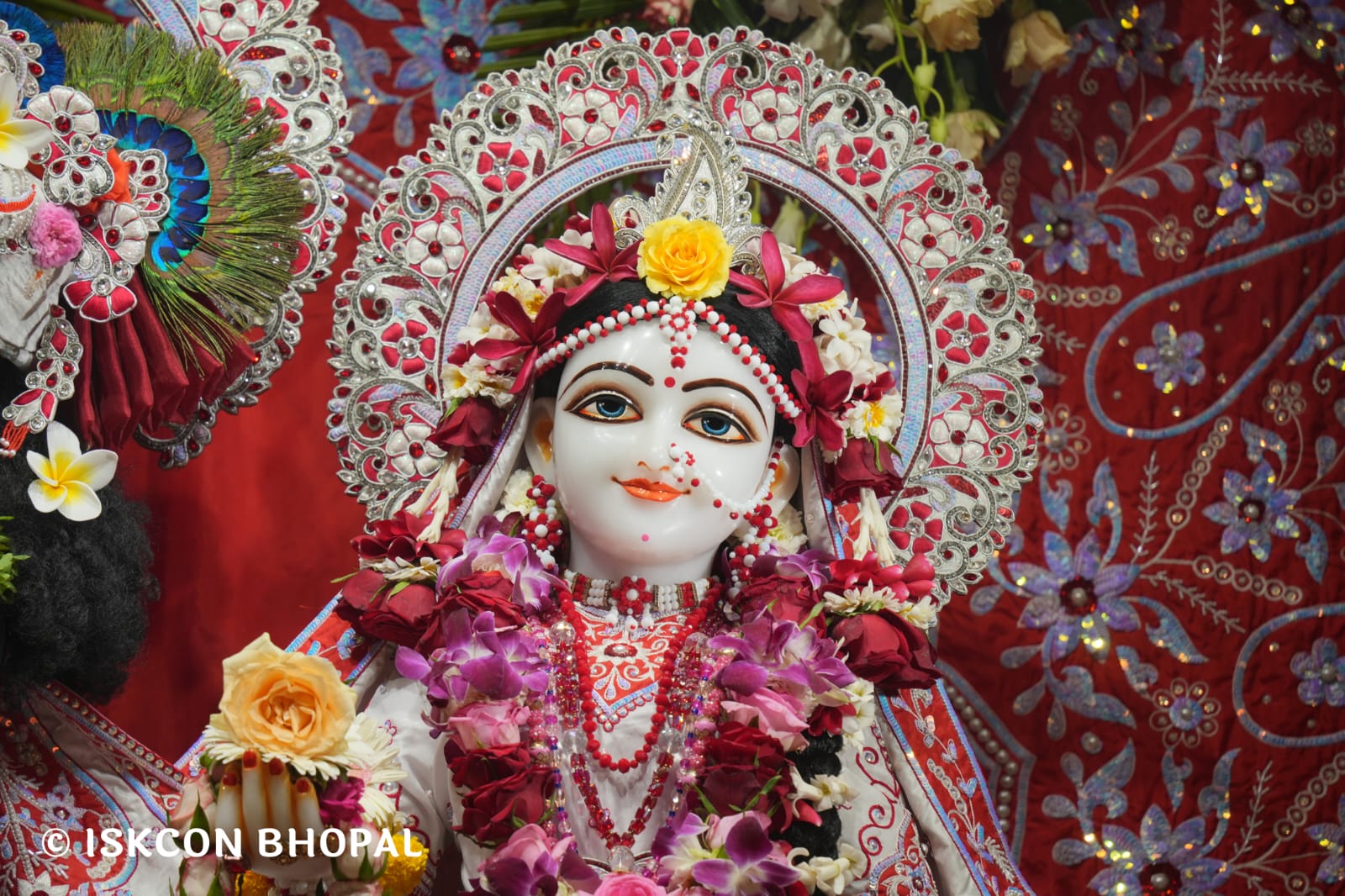 WhatsApp Image 2026-03-15 at 08.26.42