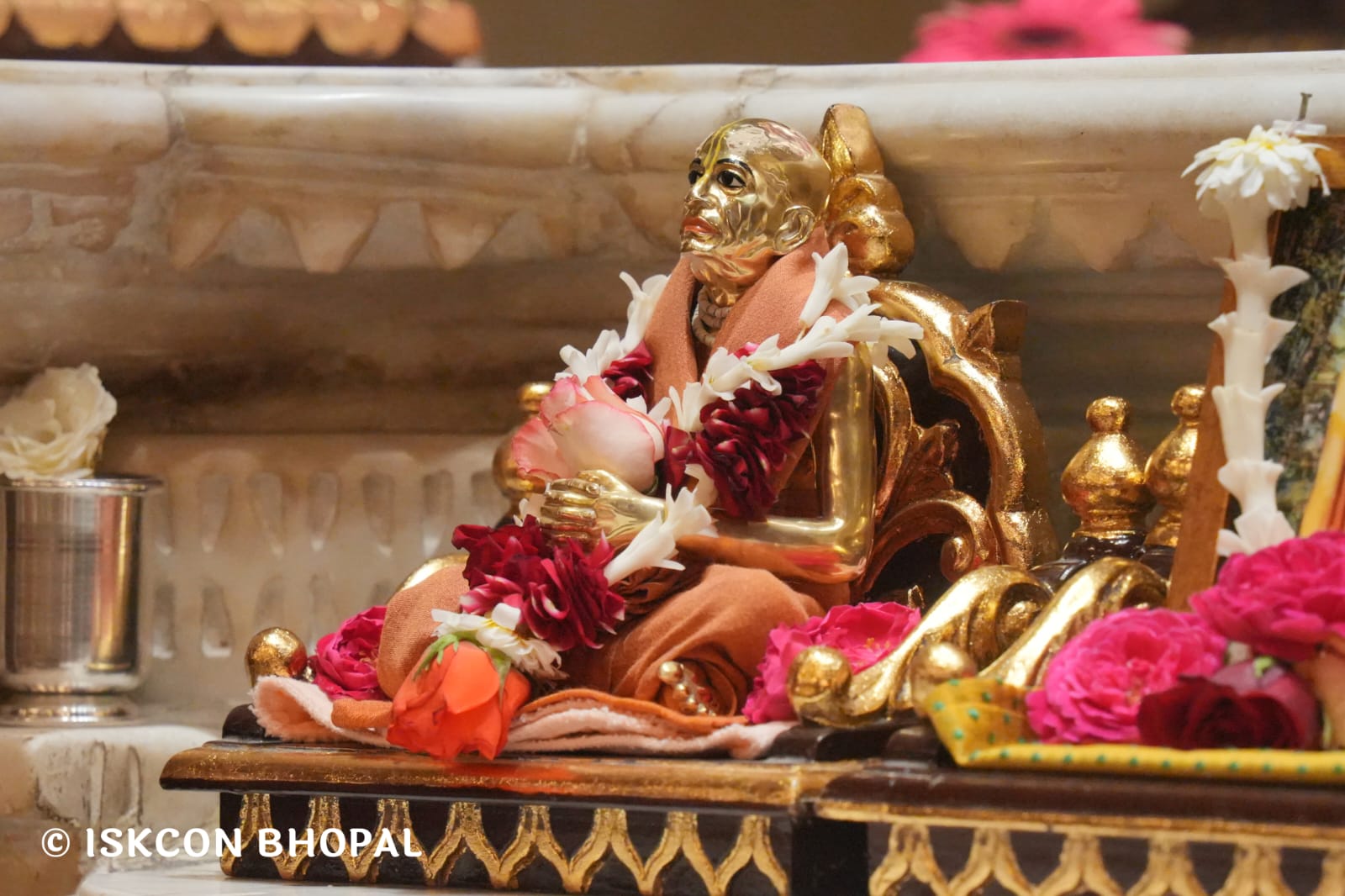 WhatsApp Image 2026-03-15 at 08.26.43 (1)