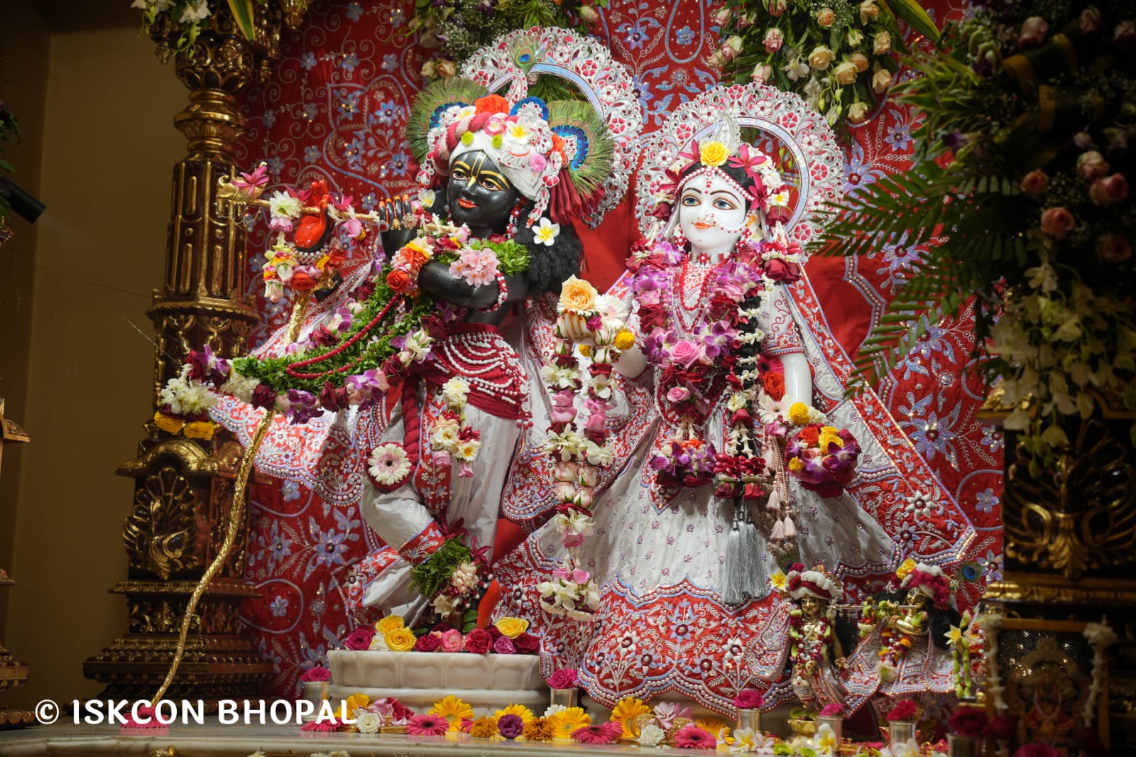 WhatsApp Image 2026-03-15 at 08.26.43 (2)