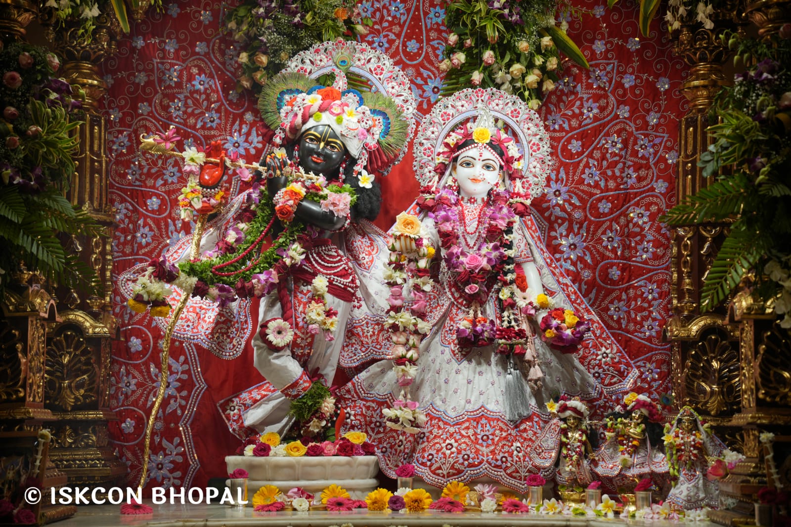 WhatsApp Image 2026-03-15 at 08.26.44 (1)