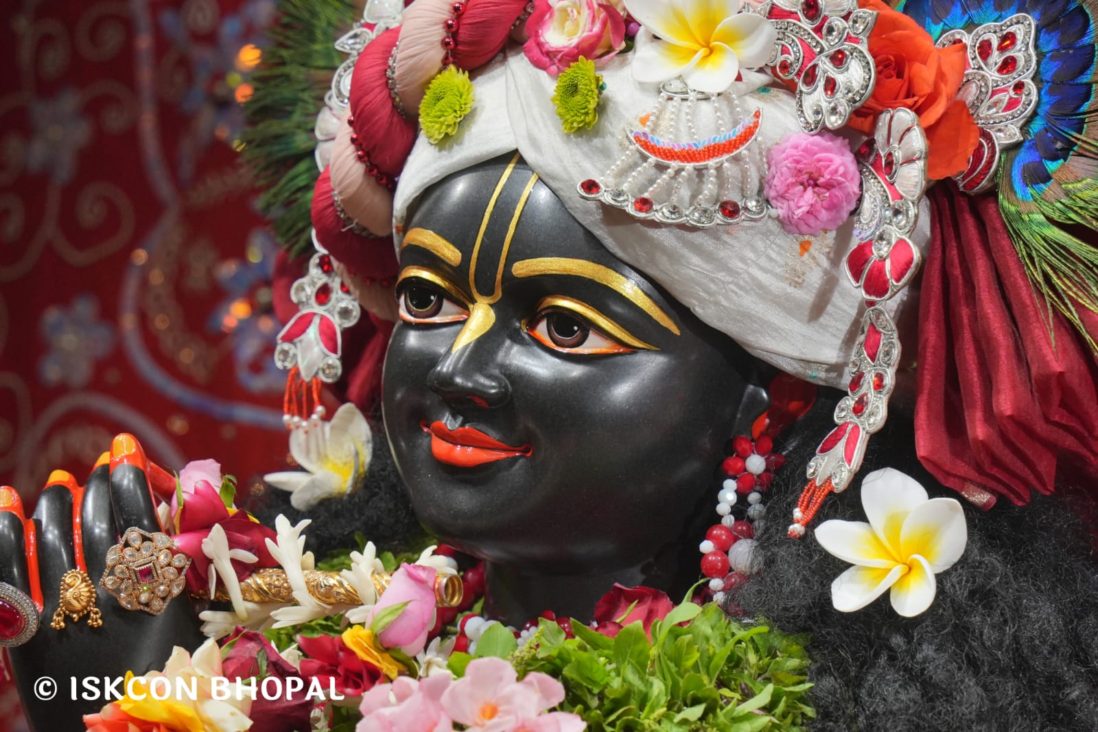 WhatsApp Image 2026-03-15 at 08.26.45 (1)