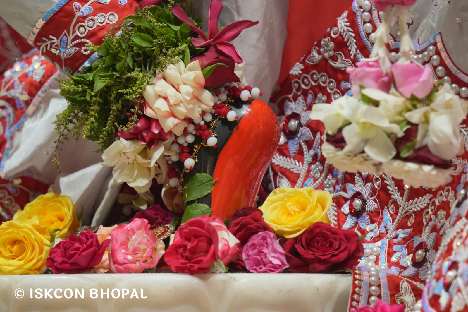 WhatsApp Image 2026-03-15 at 08.26.45