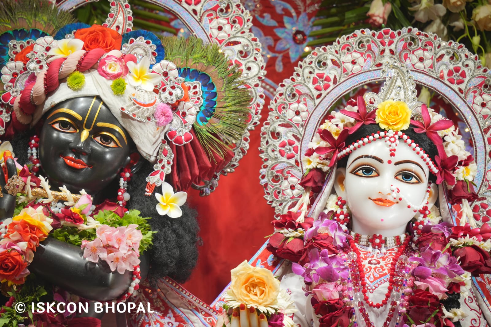 WhatsApp Image 2026-03-15 at 08.26.46 (1)